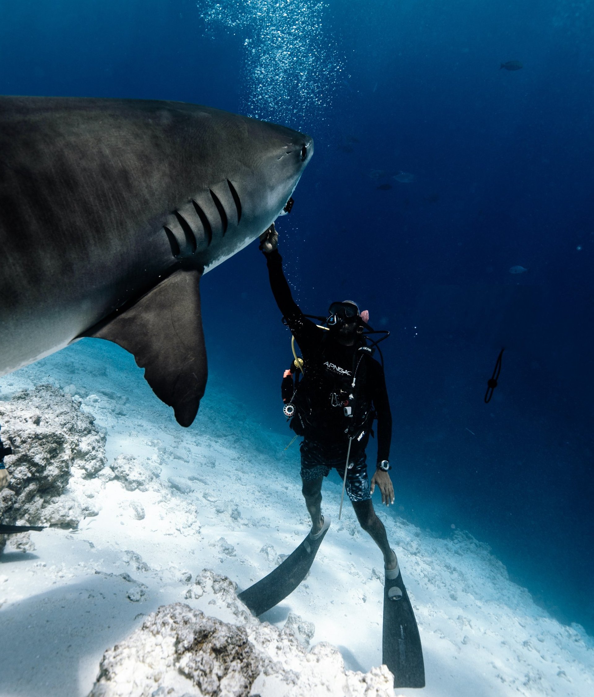 black and white bed linen