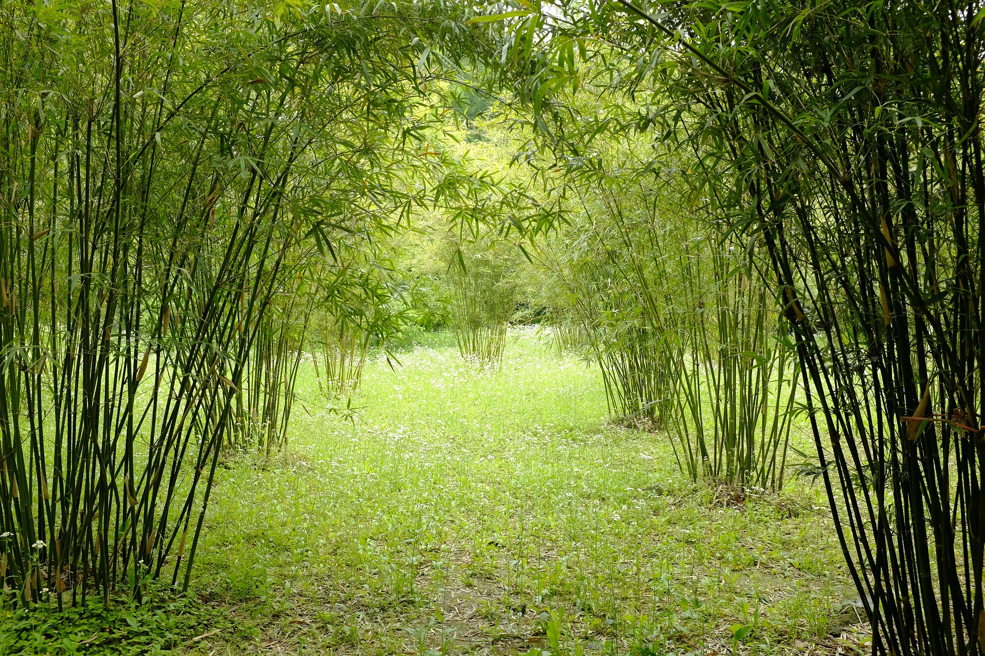 black and brown leather padded tub sofa