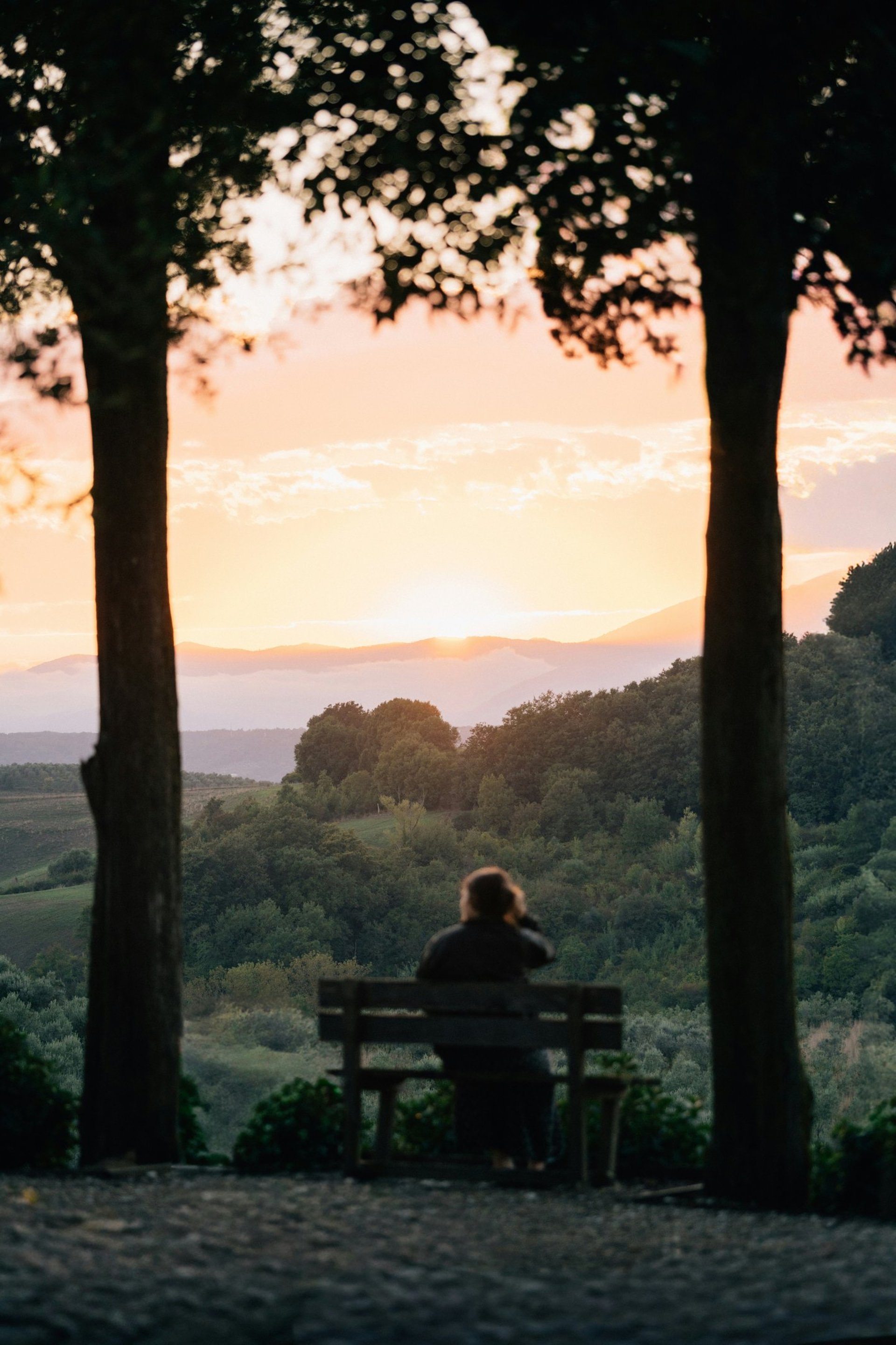 black blue and yellow textile