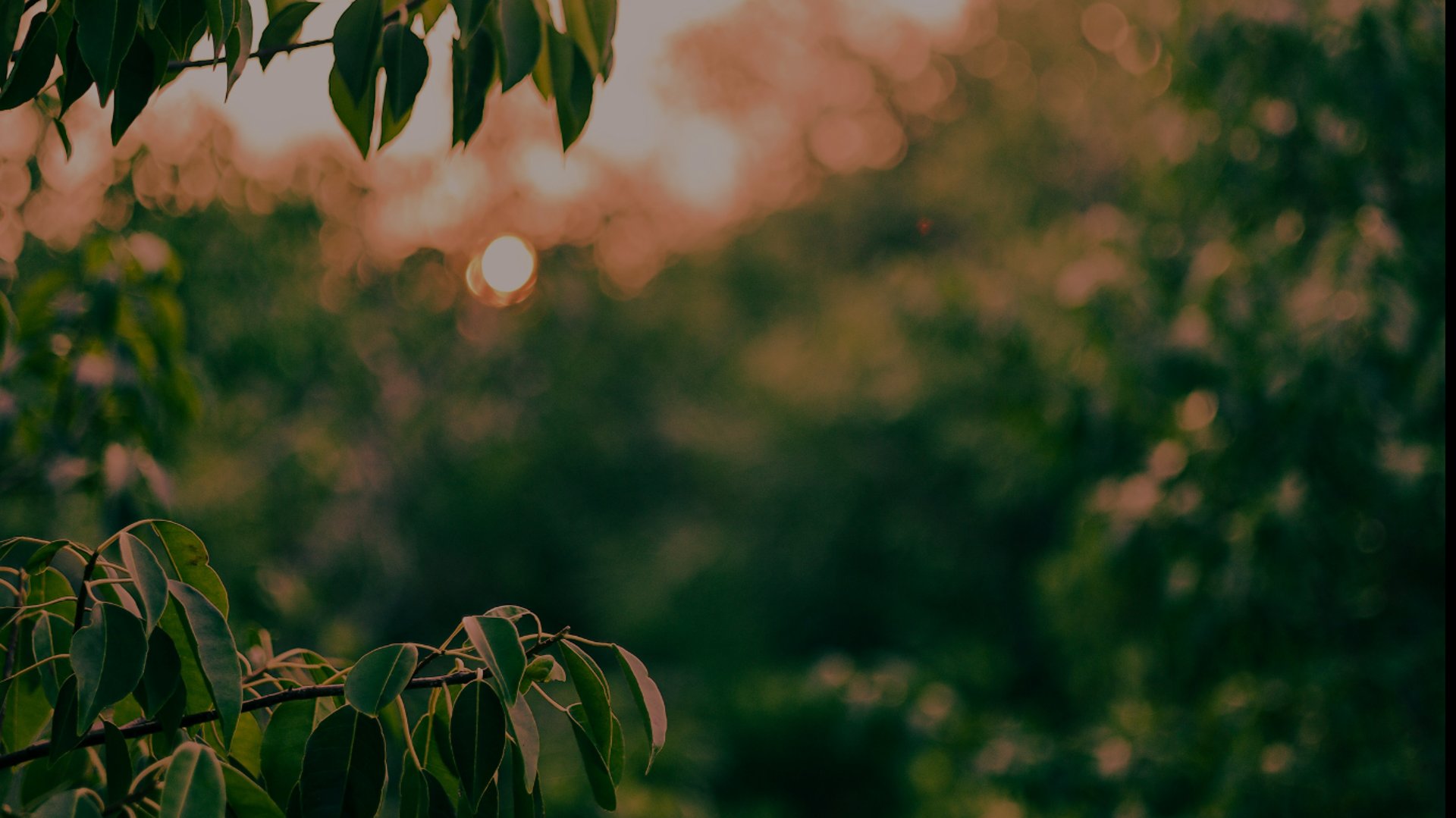 Boutique travel advisor creating thoughtfully curated journeys