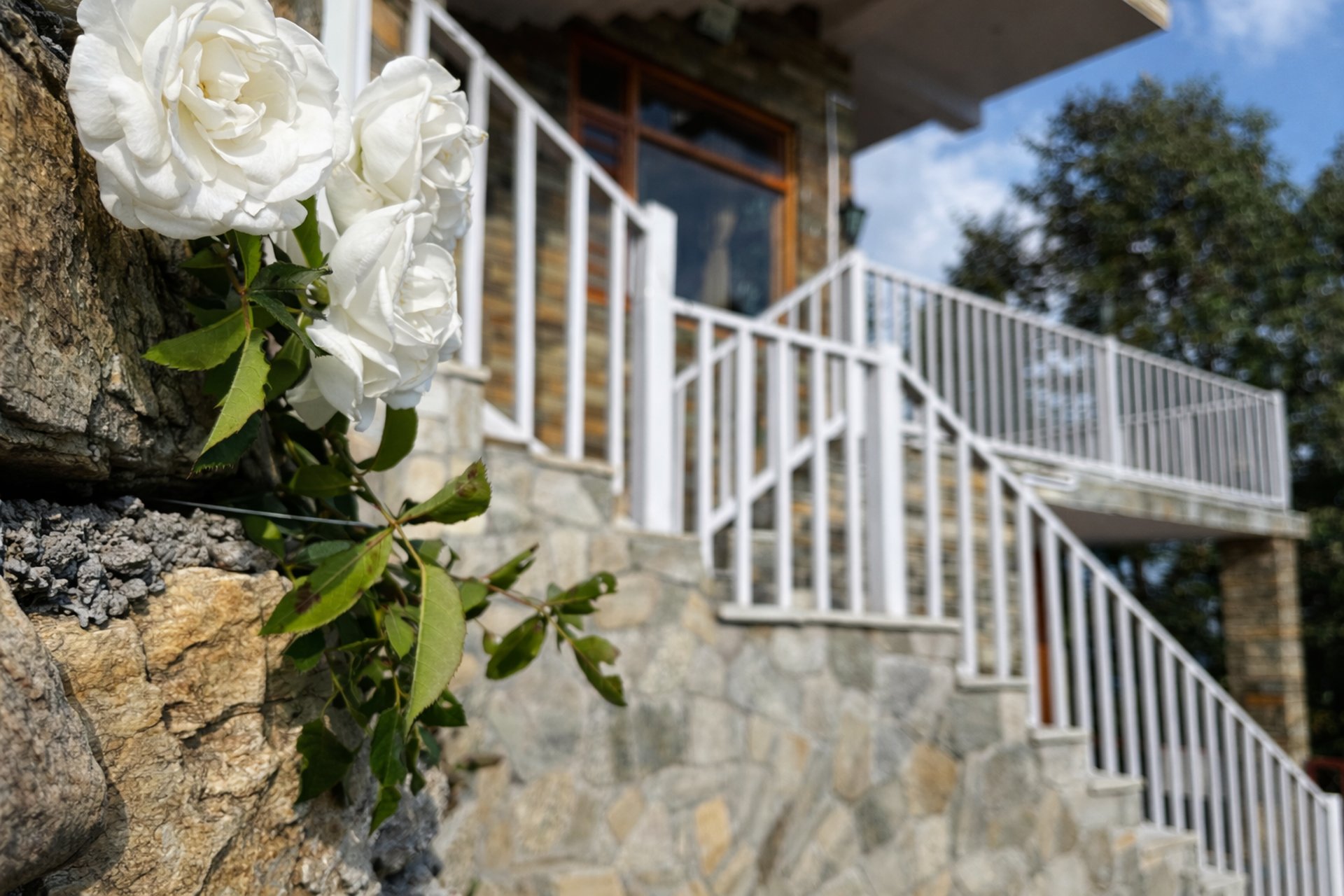 gray computer monitor