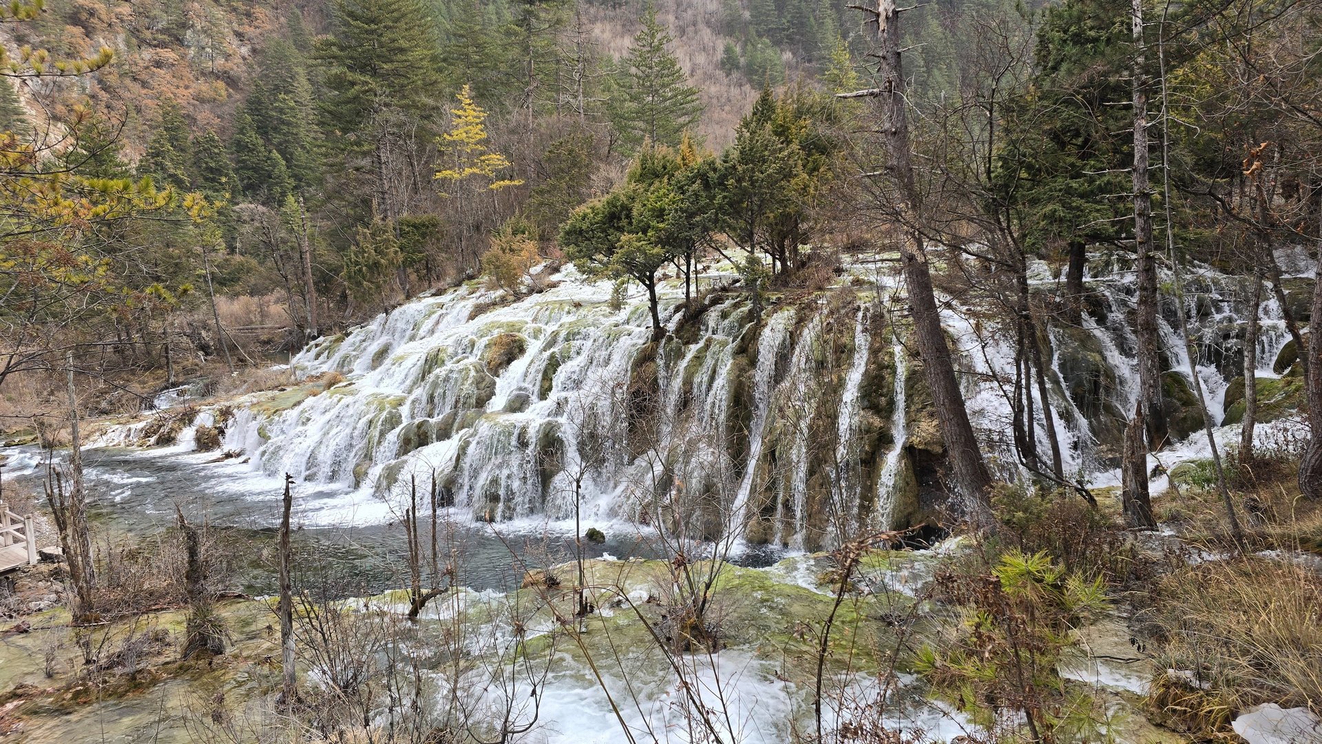 black nikon dslr camera on white printer paper