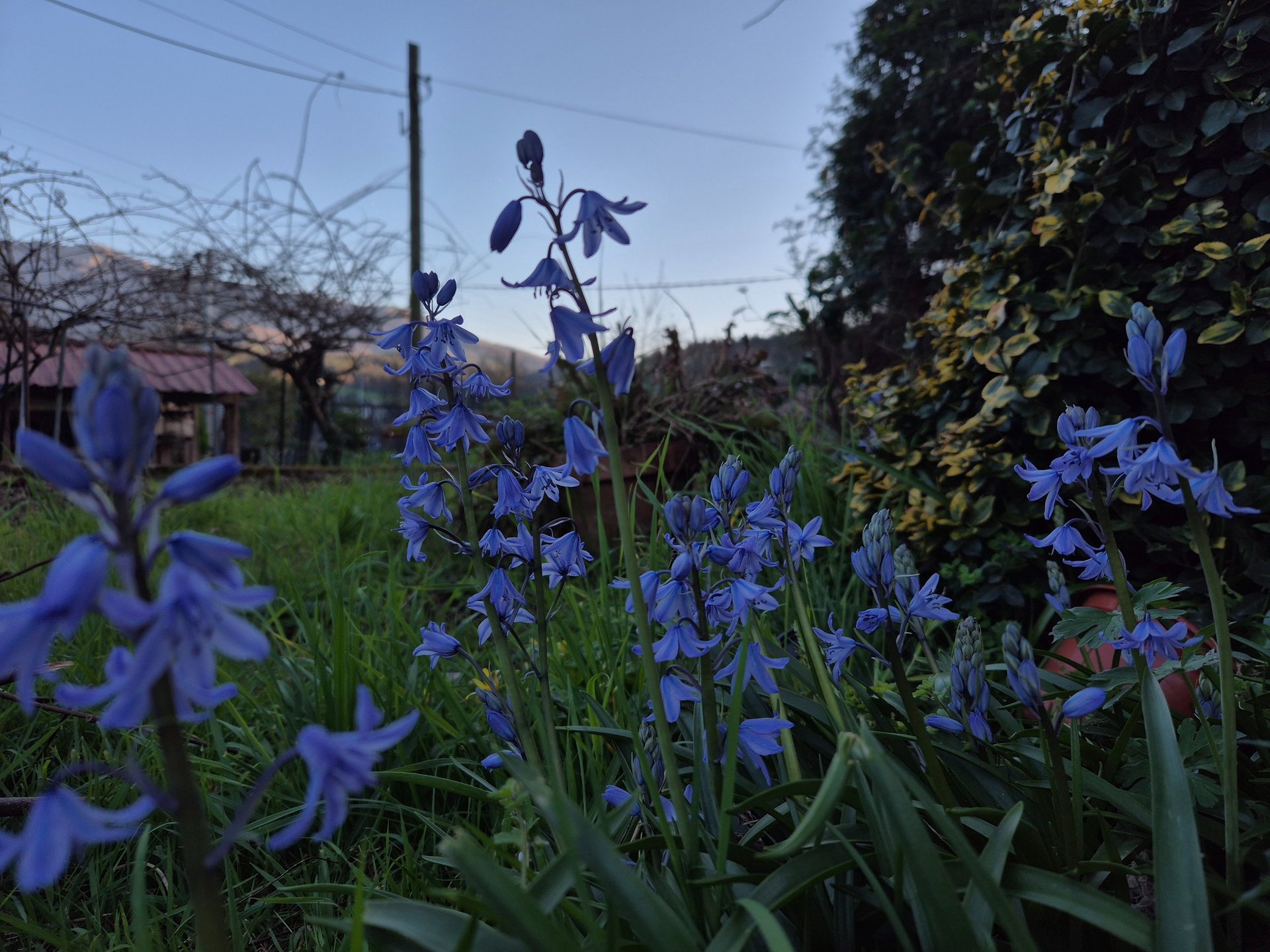 black and brown leather padded tub sofa