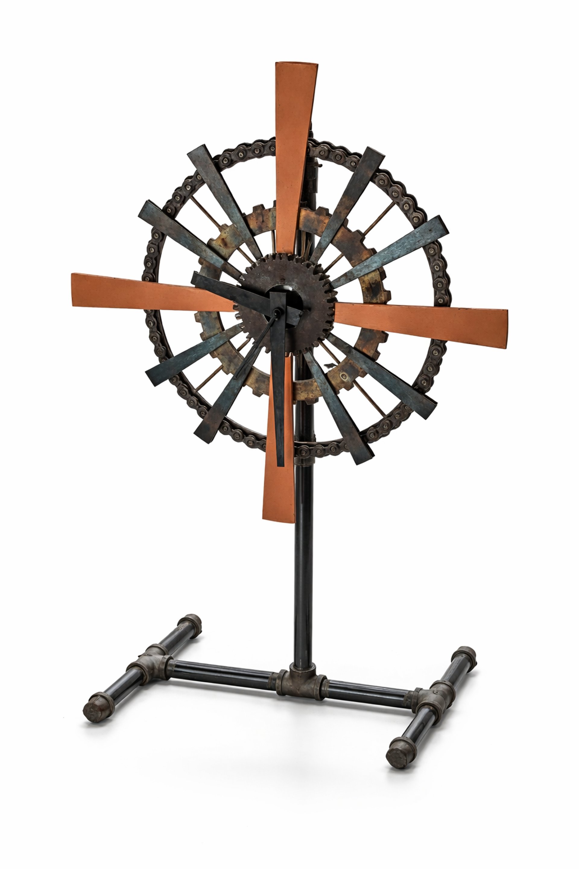 woman holding dried flower