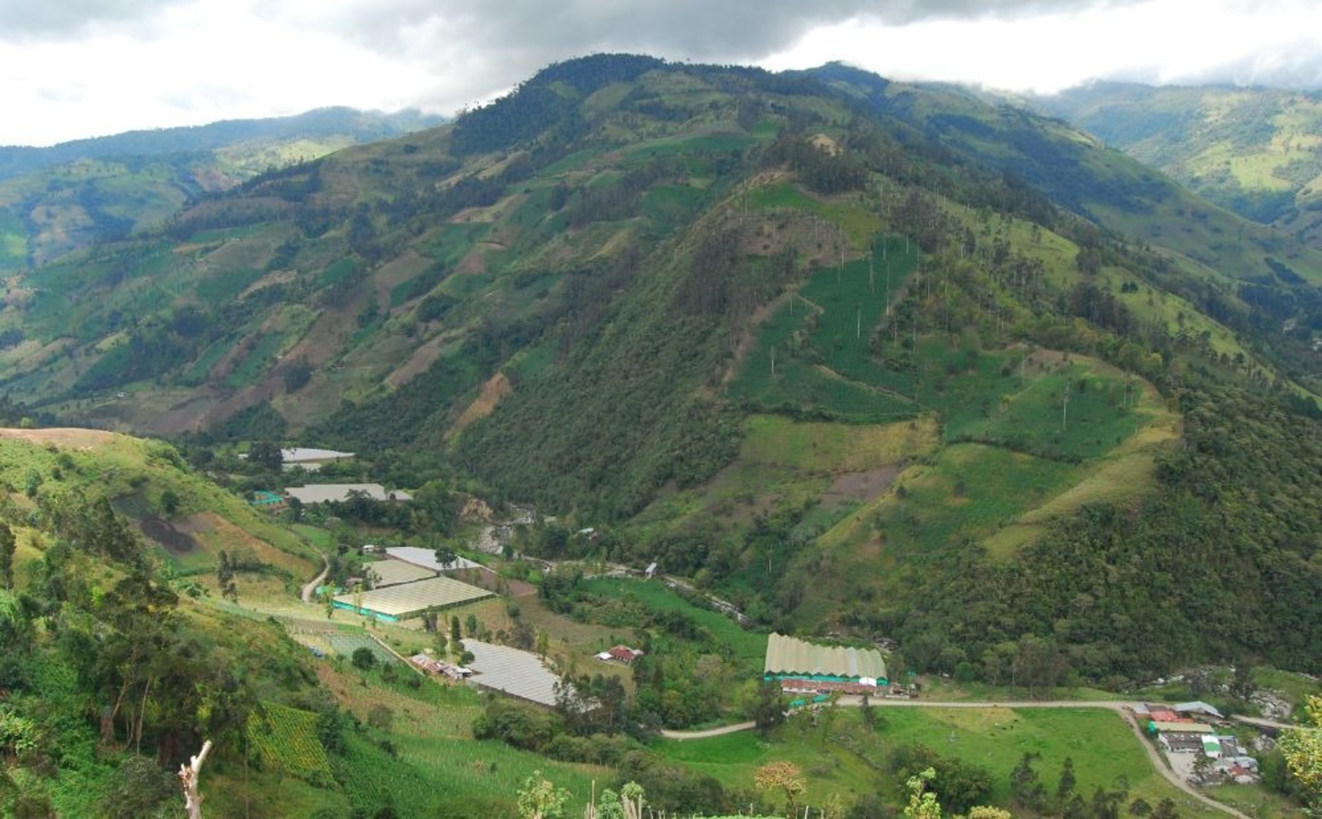 an abstract photo of a curved building with a blue sky in the background
