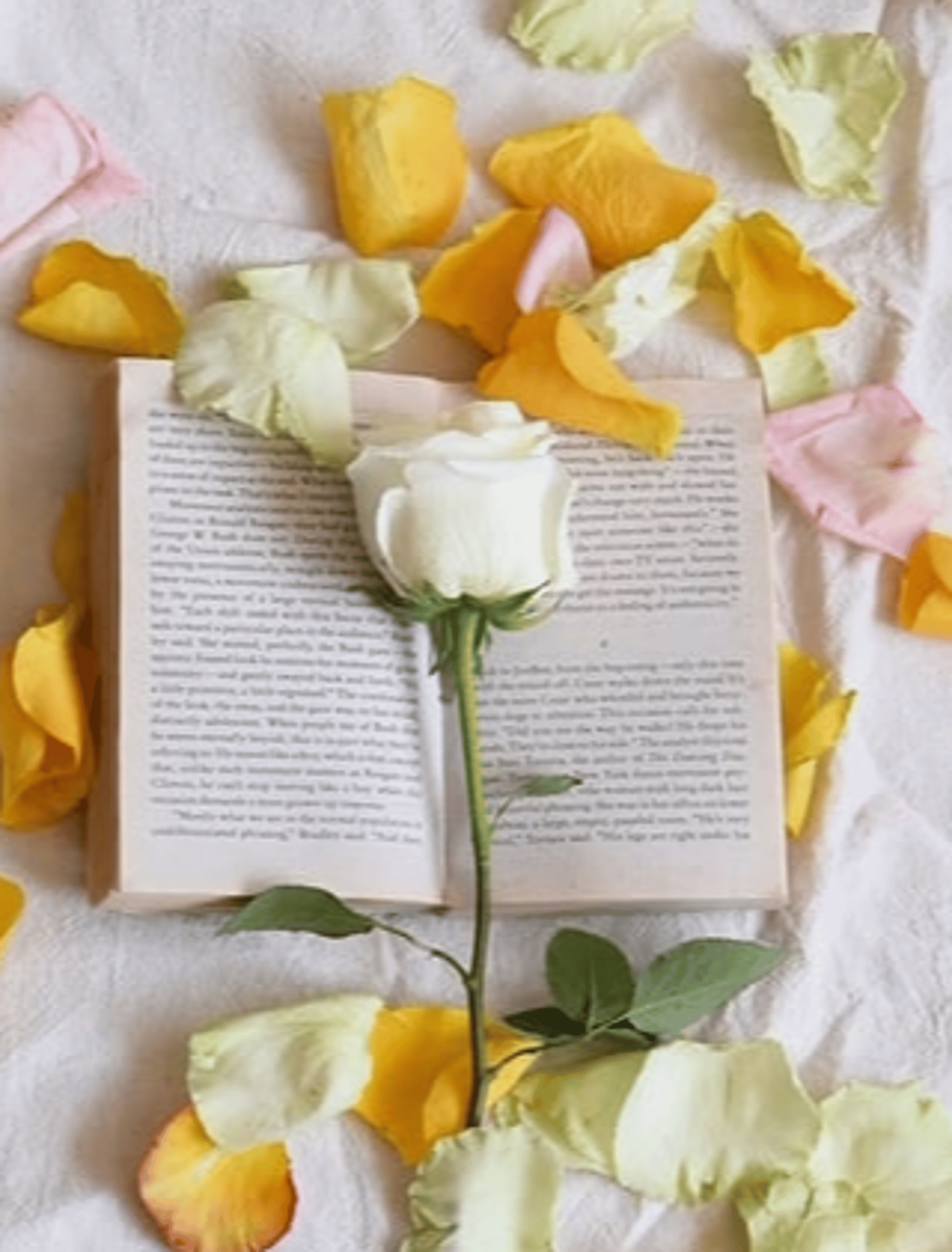 open book: rose petals