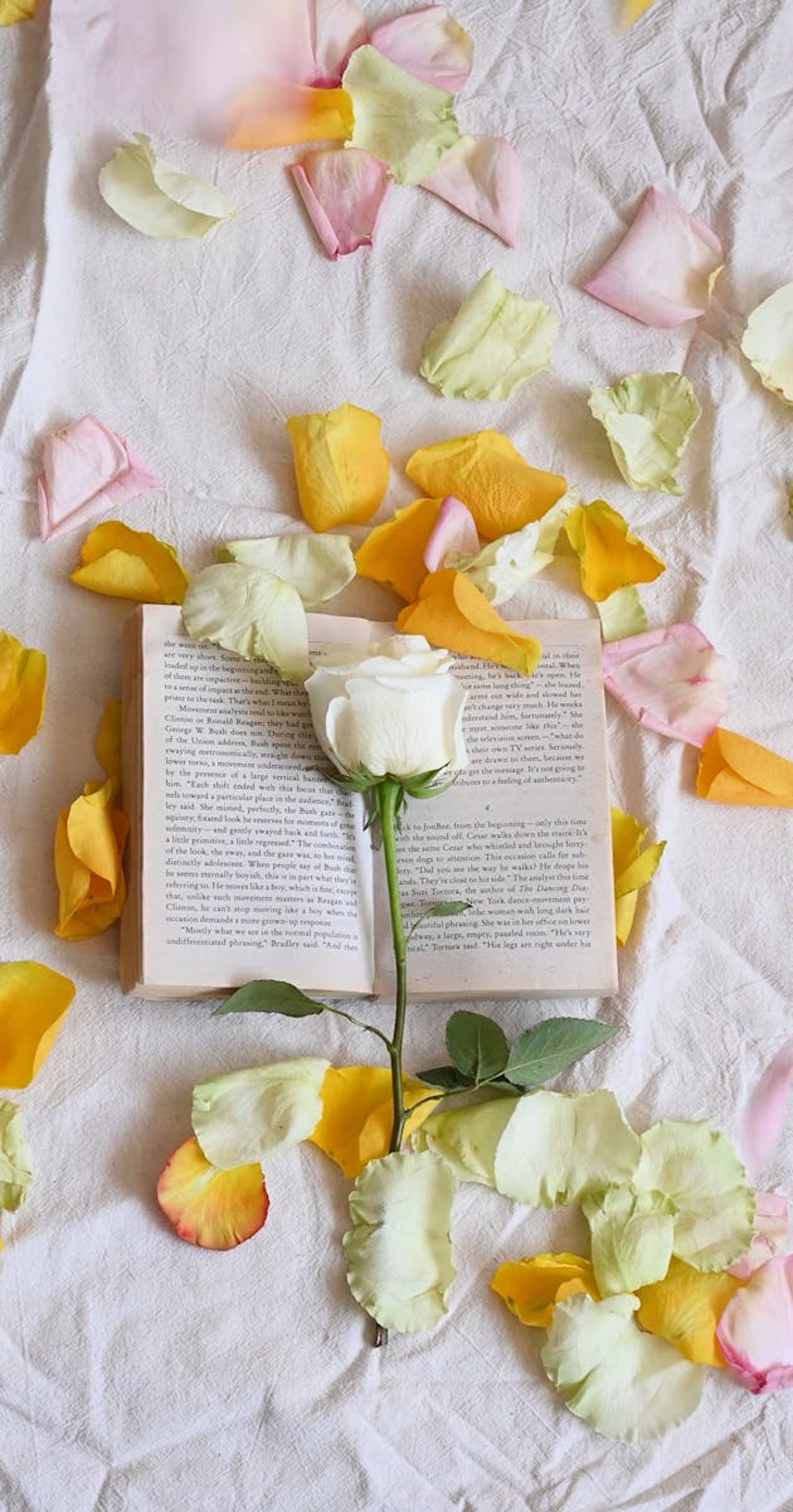 open book: rose petals