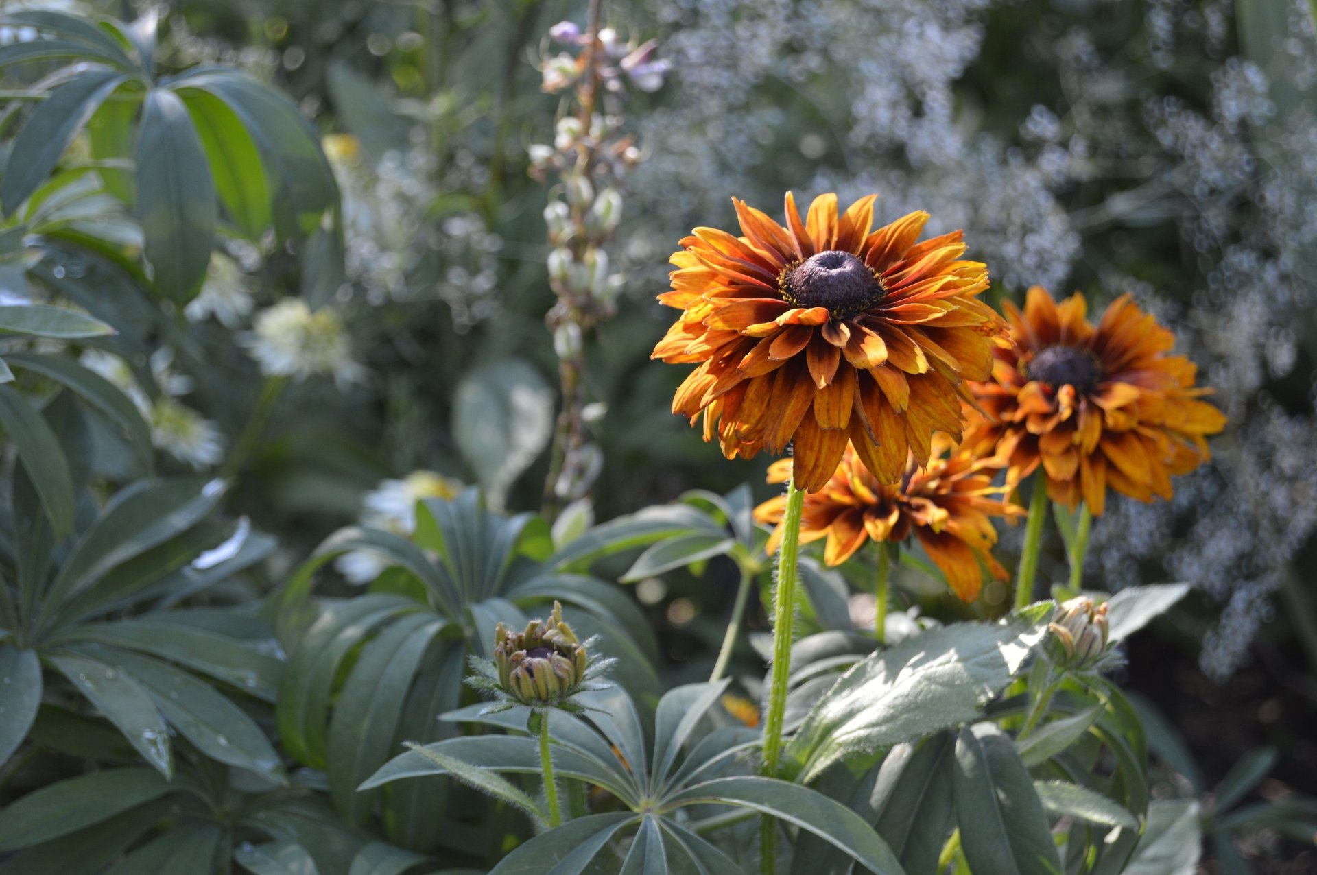 black and white bed linen
