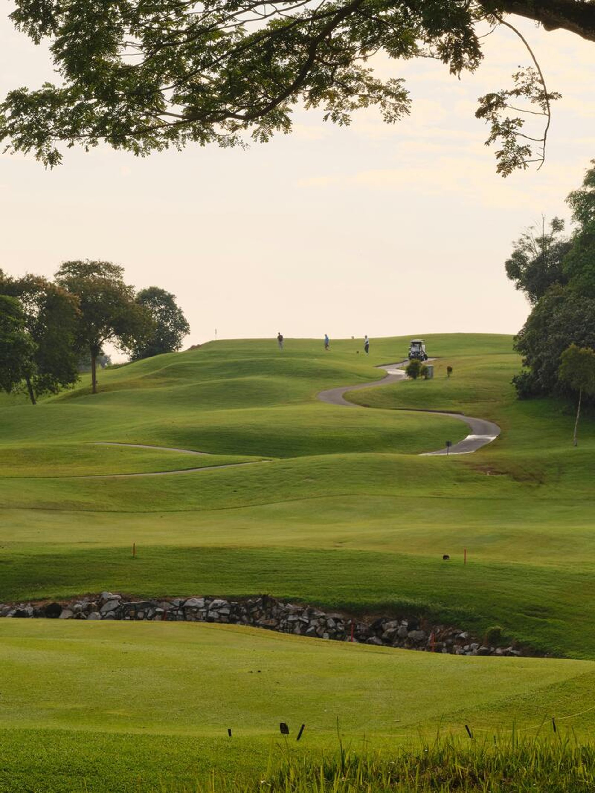person wearing grey knit sweater