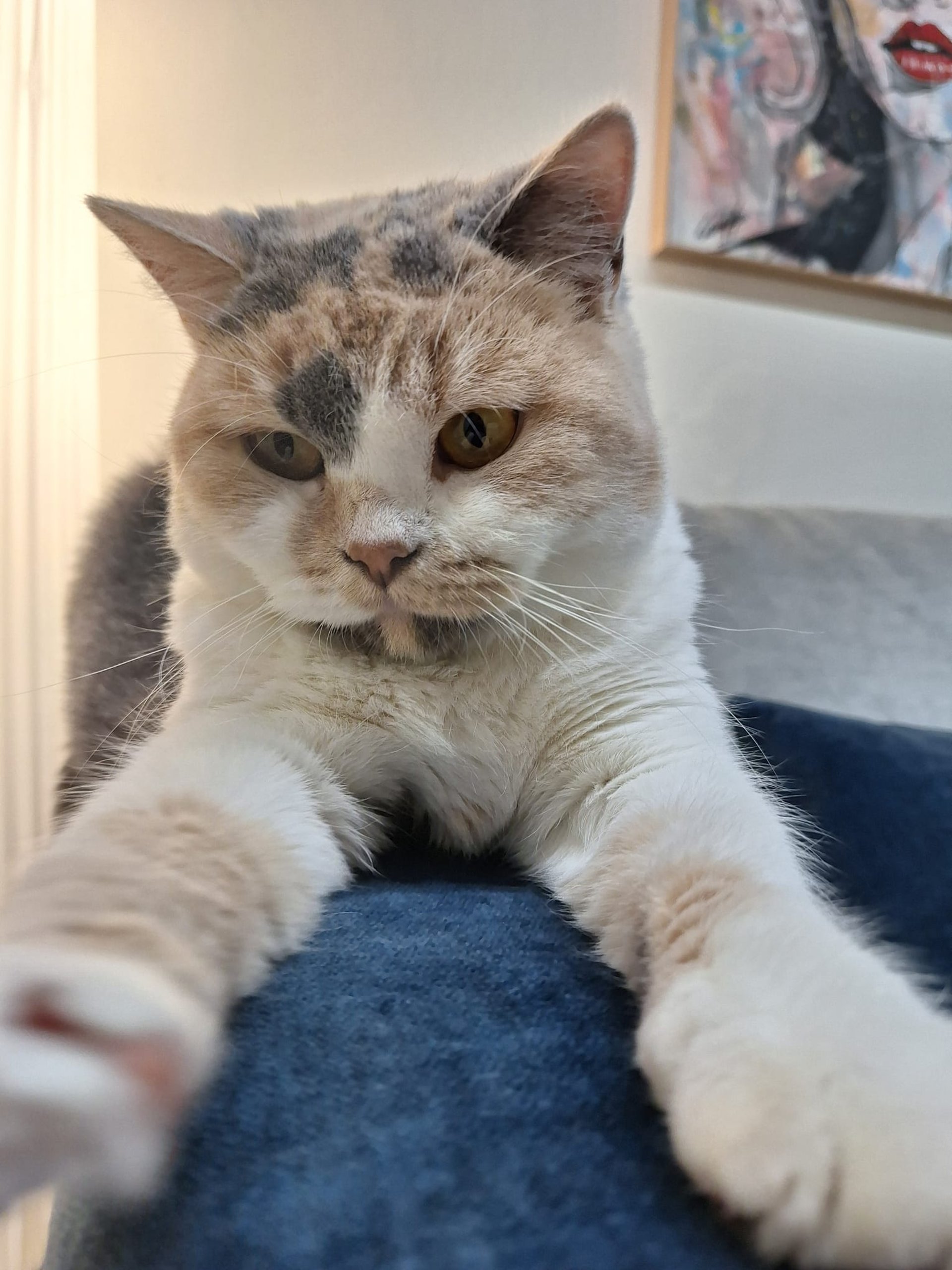 gray computer monitor