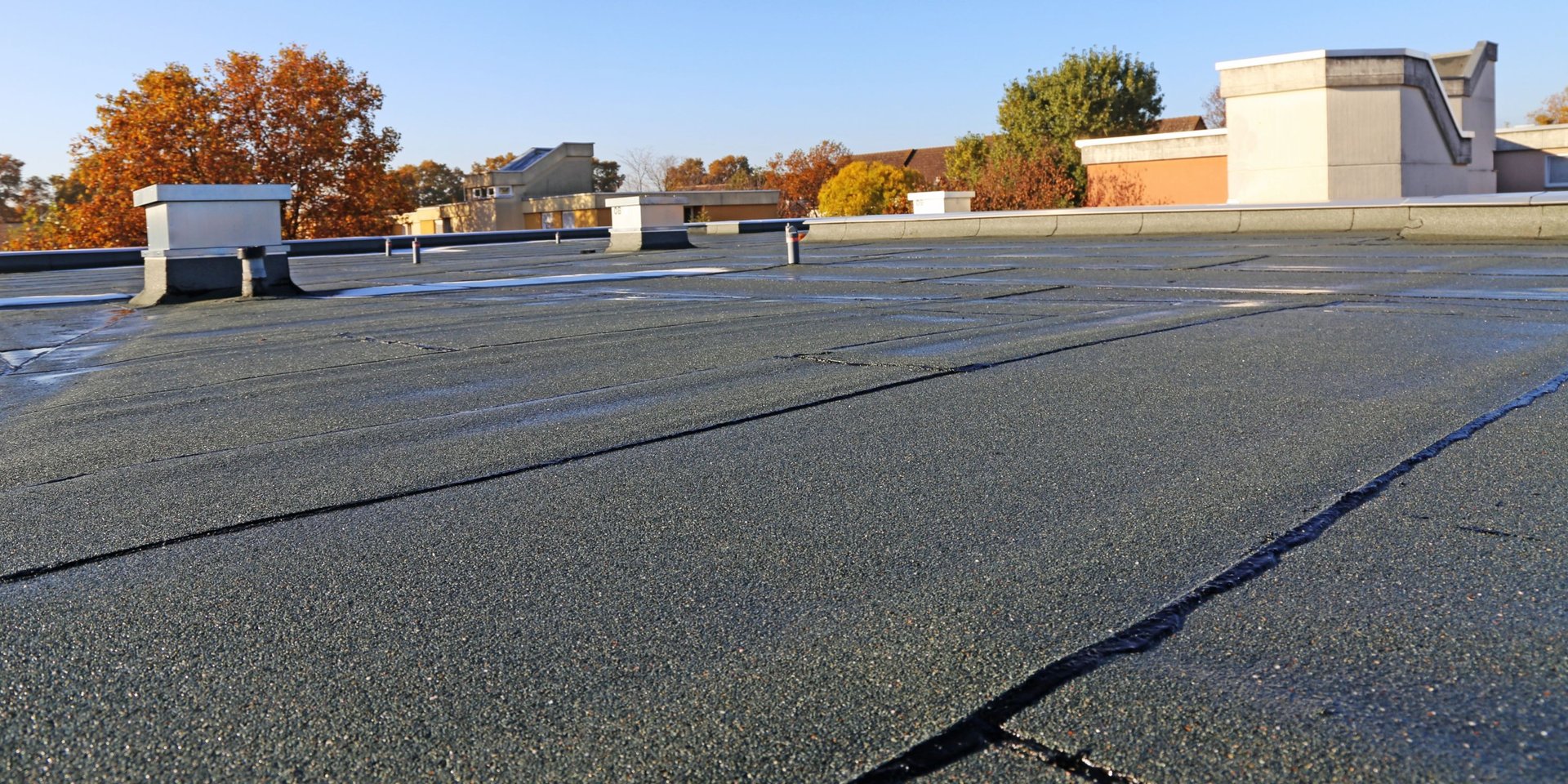 an abstract photo of a curved building with a blue sky in the background