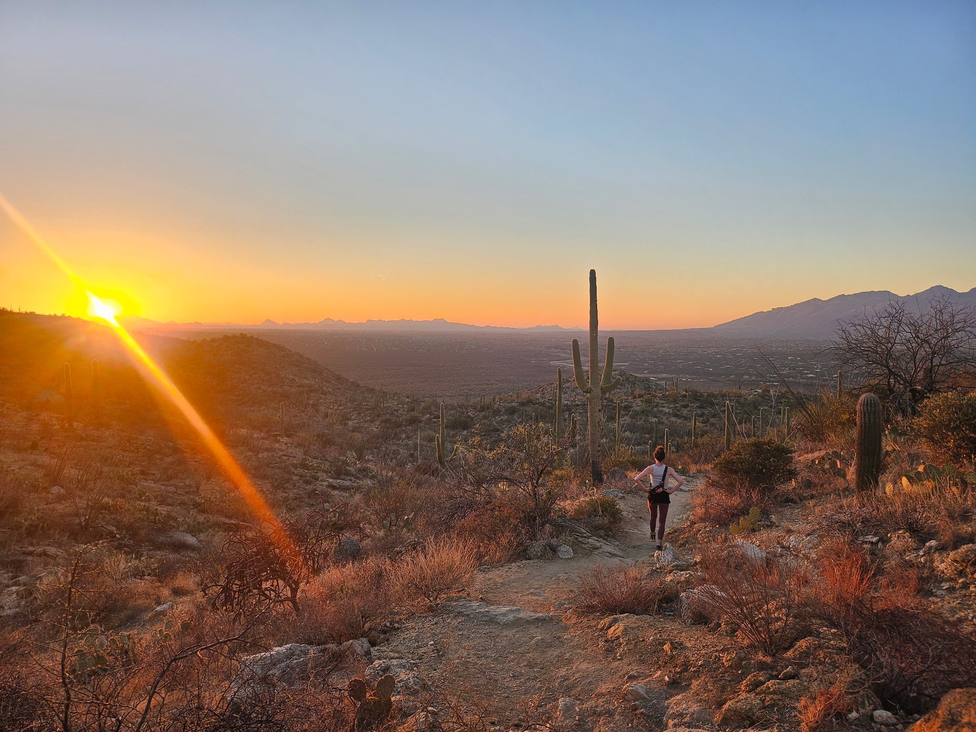 gray rocks on ground near green trees