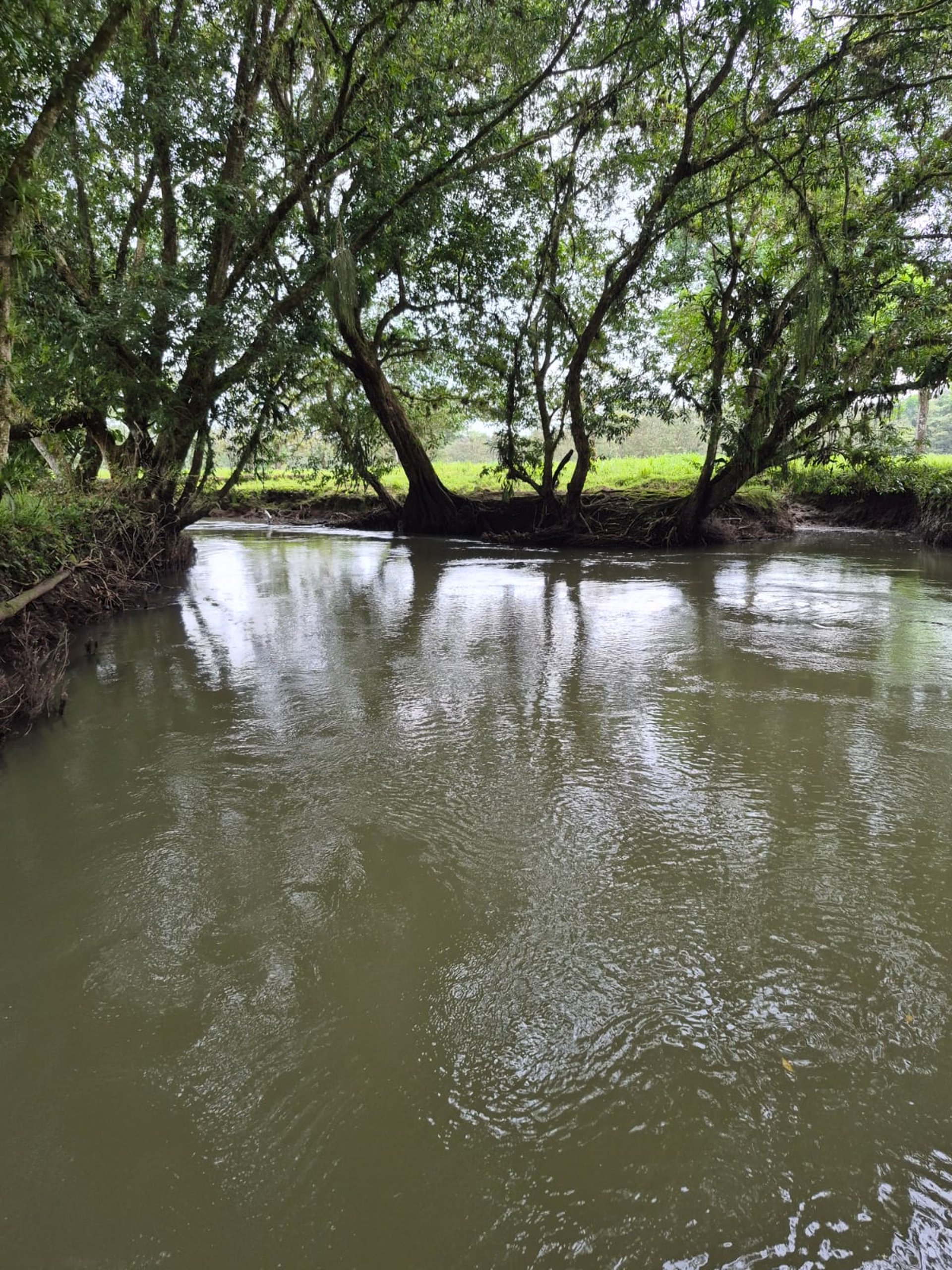 woman wearing yellow long-sleeved dress under white clouds and blue sky during daytime
