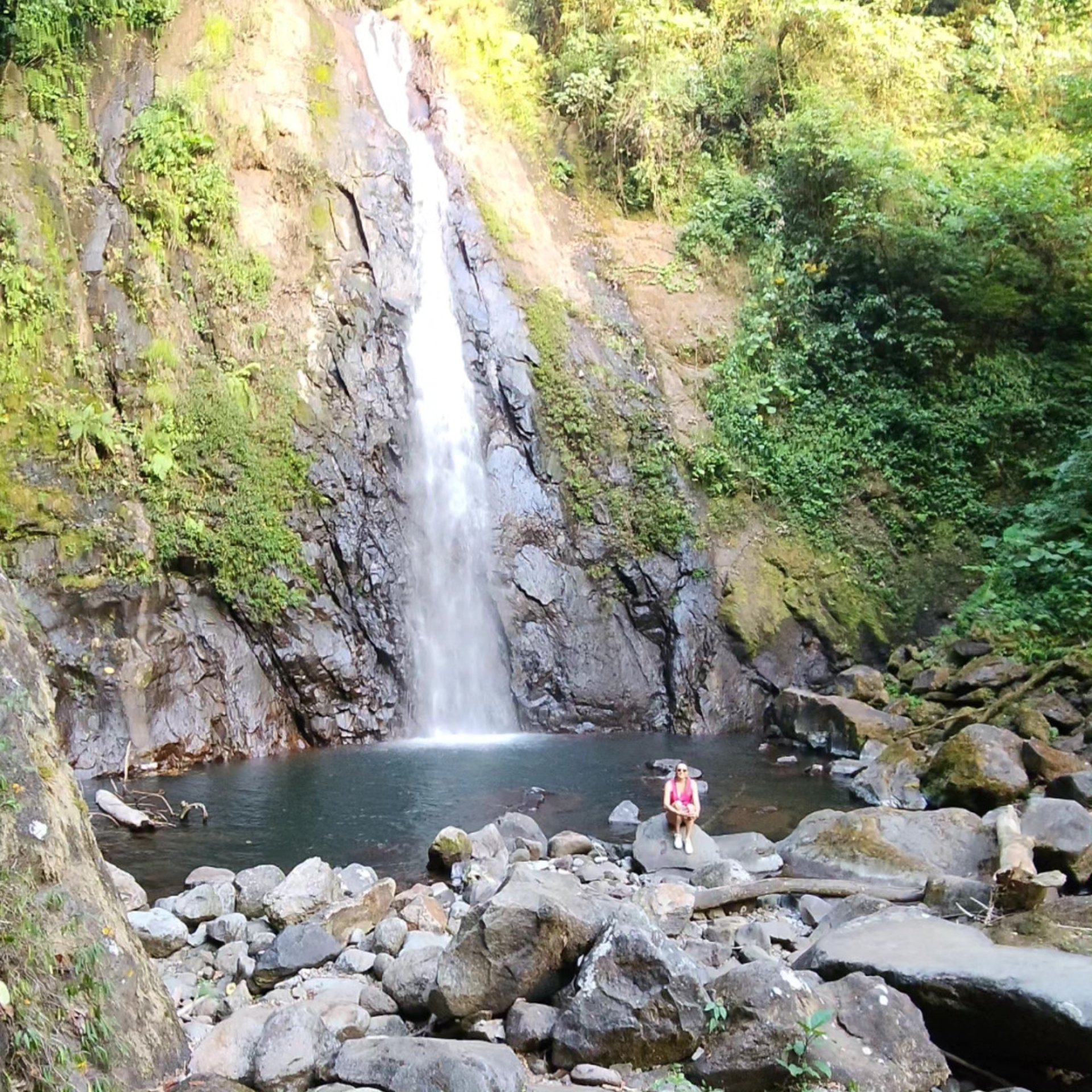black and white bed linen