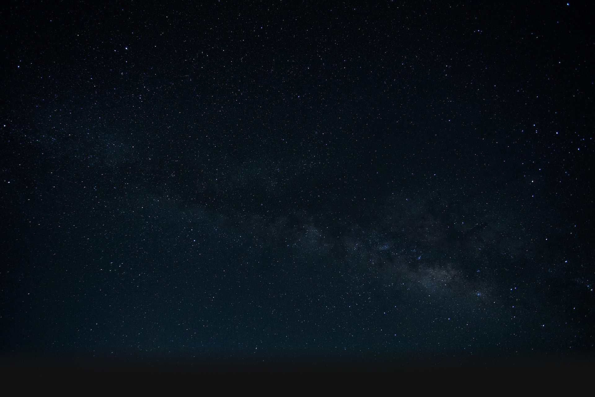 woman holding dried flower