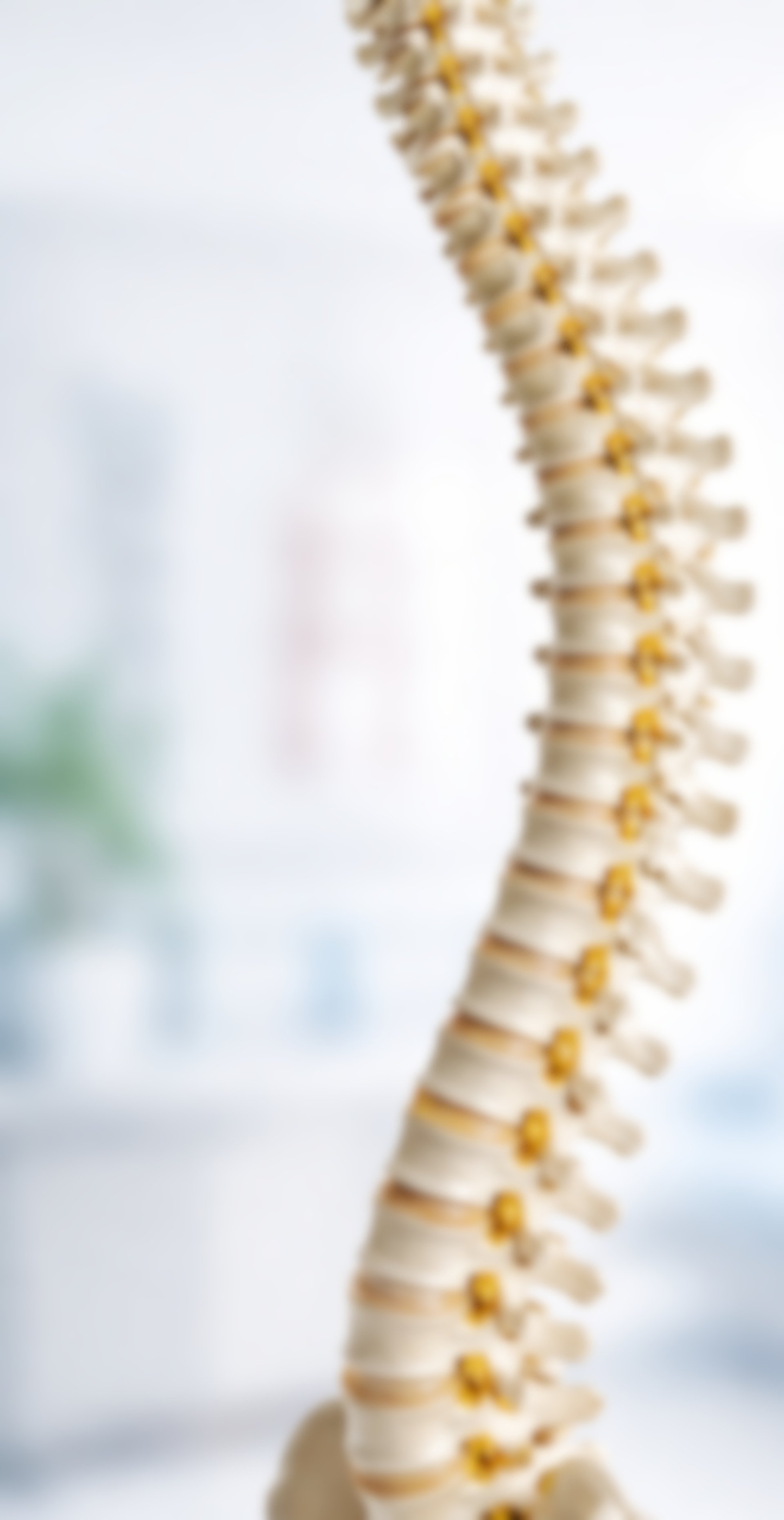 tilt shift lens photography of person lifting hand