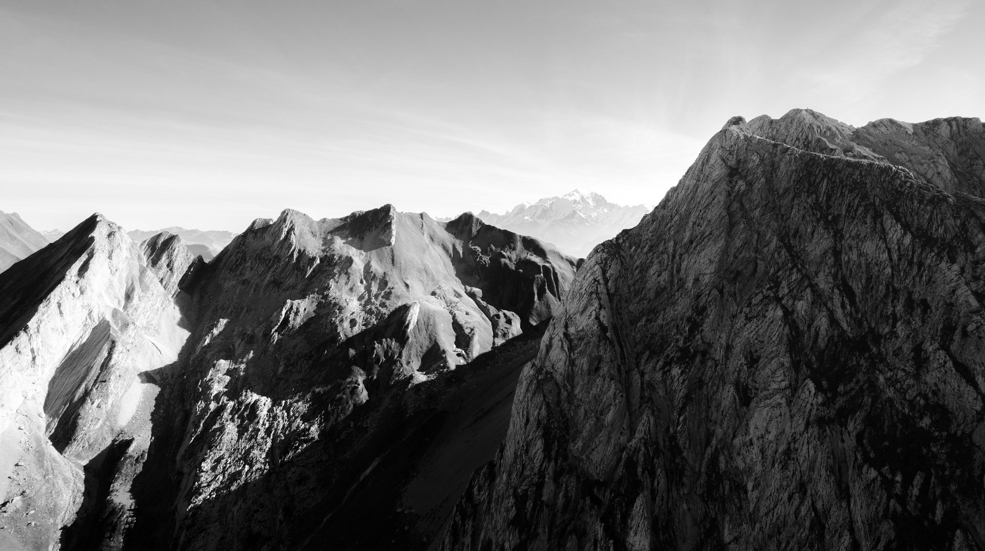 black and white bed linen