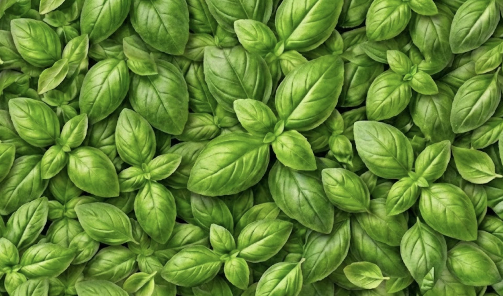 a couple of flags on a flagpole