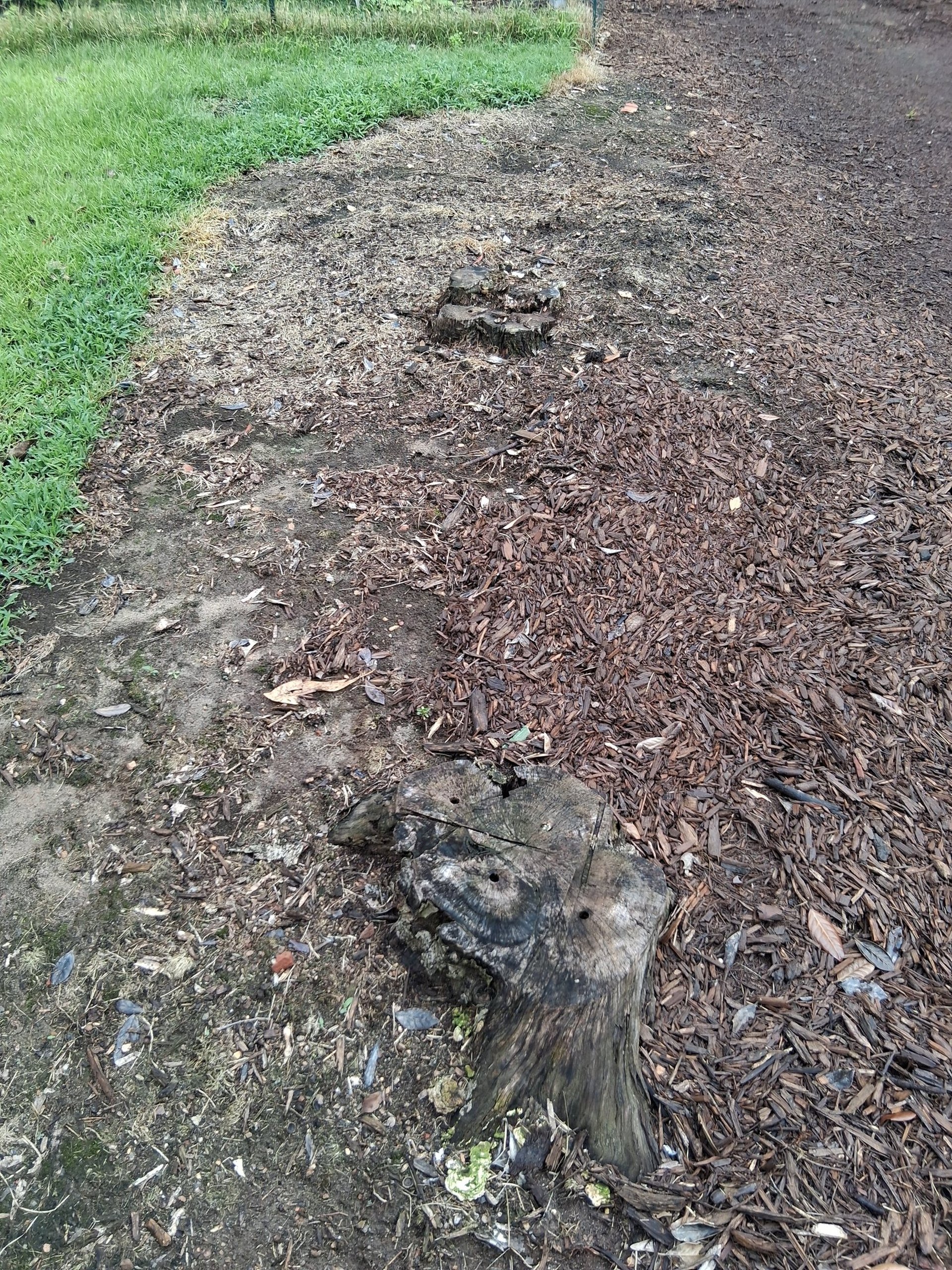 gray computer monitor