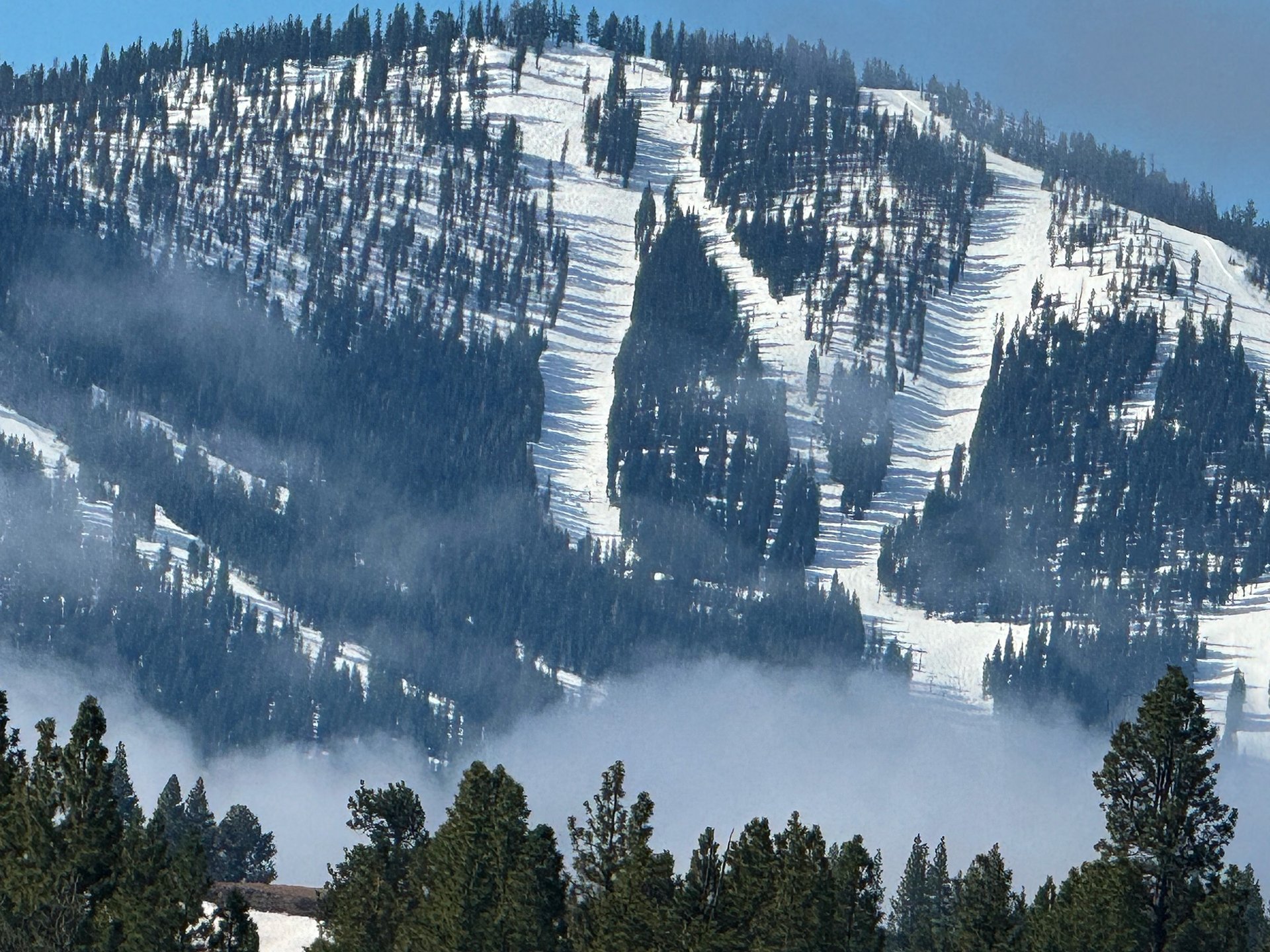 woman wearing yellow long-sleeved dress under white clouds and blue sky during daytime