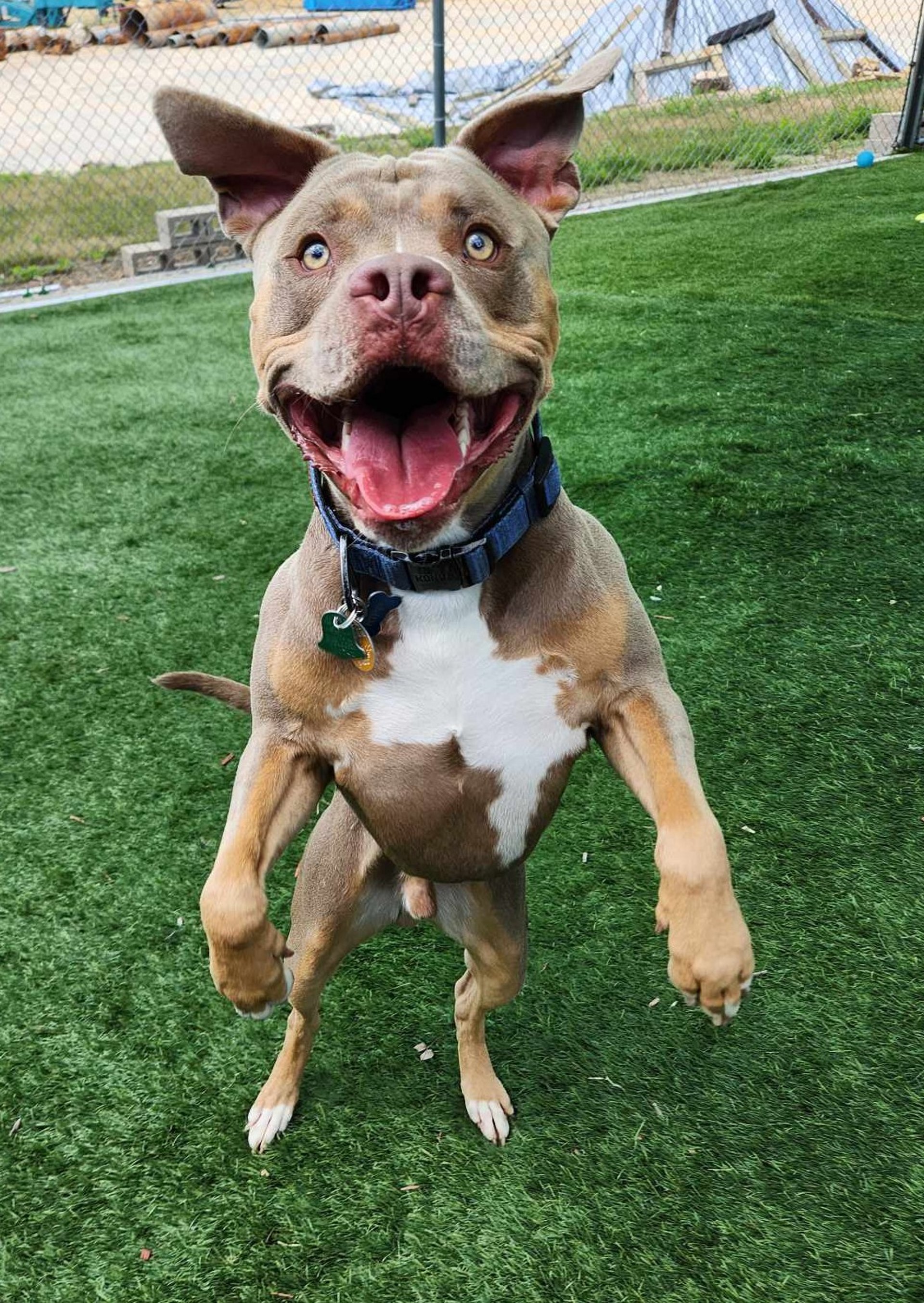 mountain range under blue sky