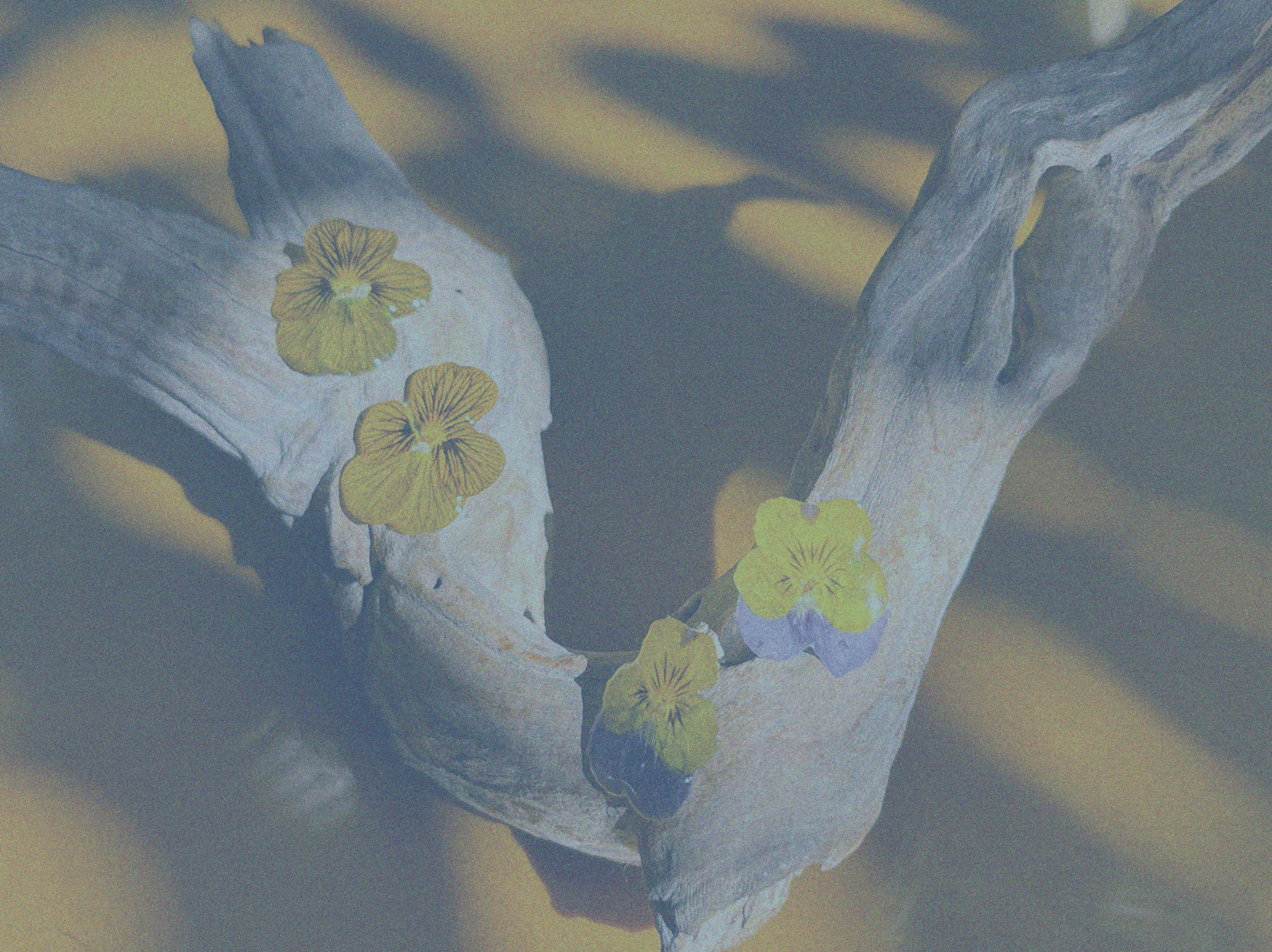 mountain range under blue sky
