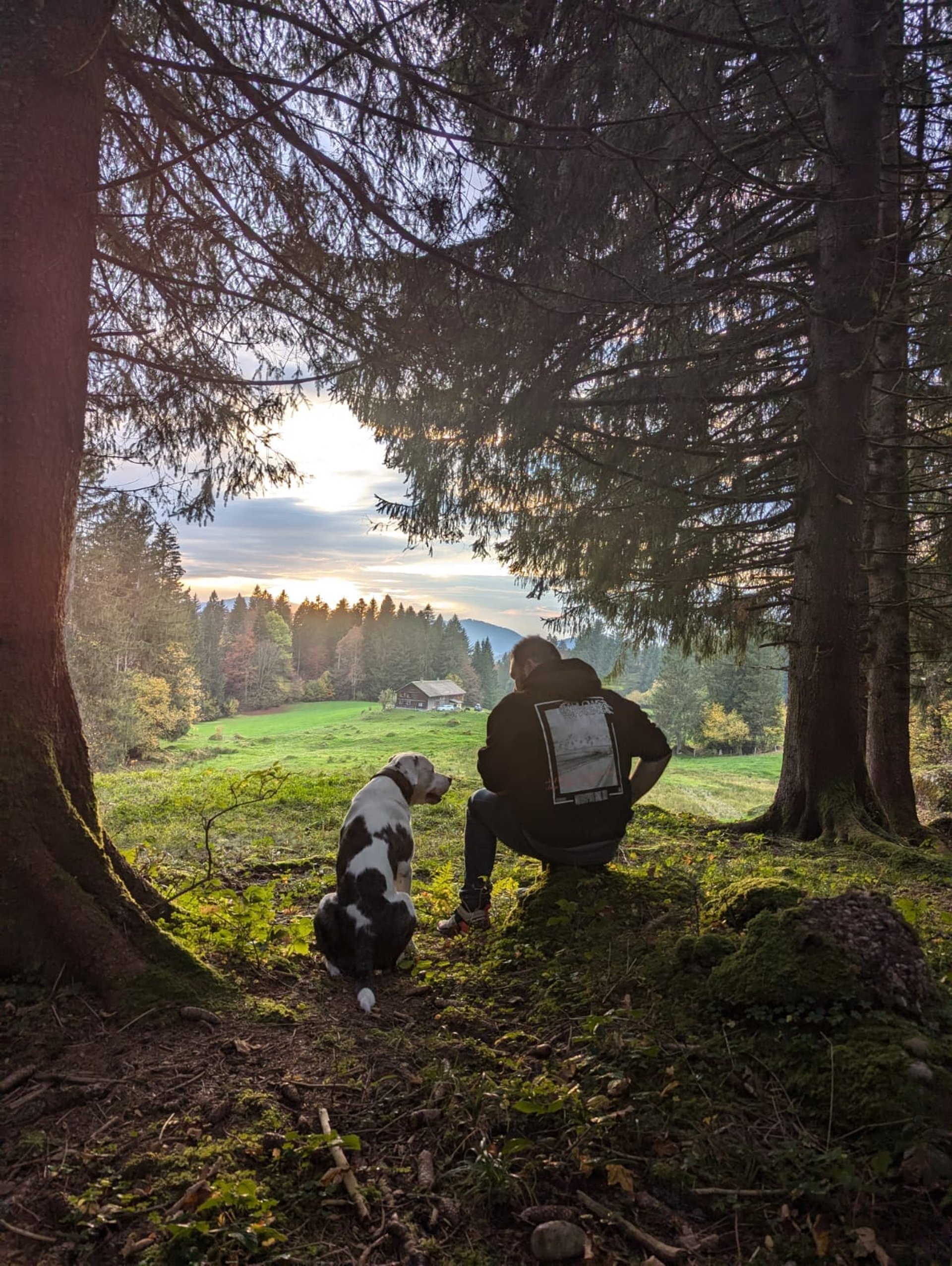 gray computer monitor