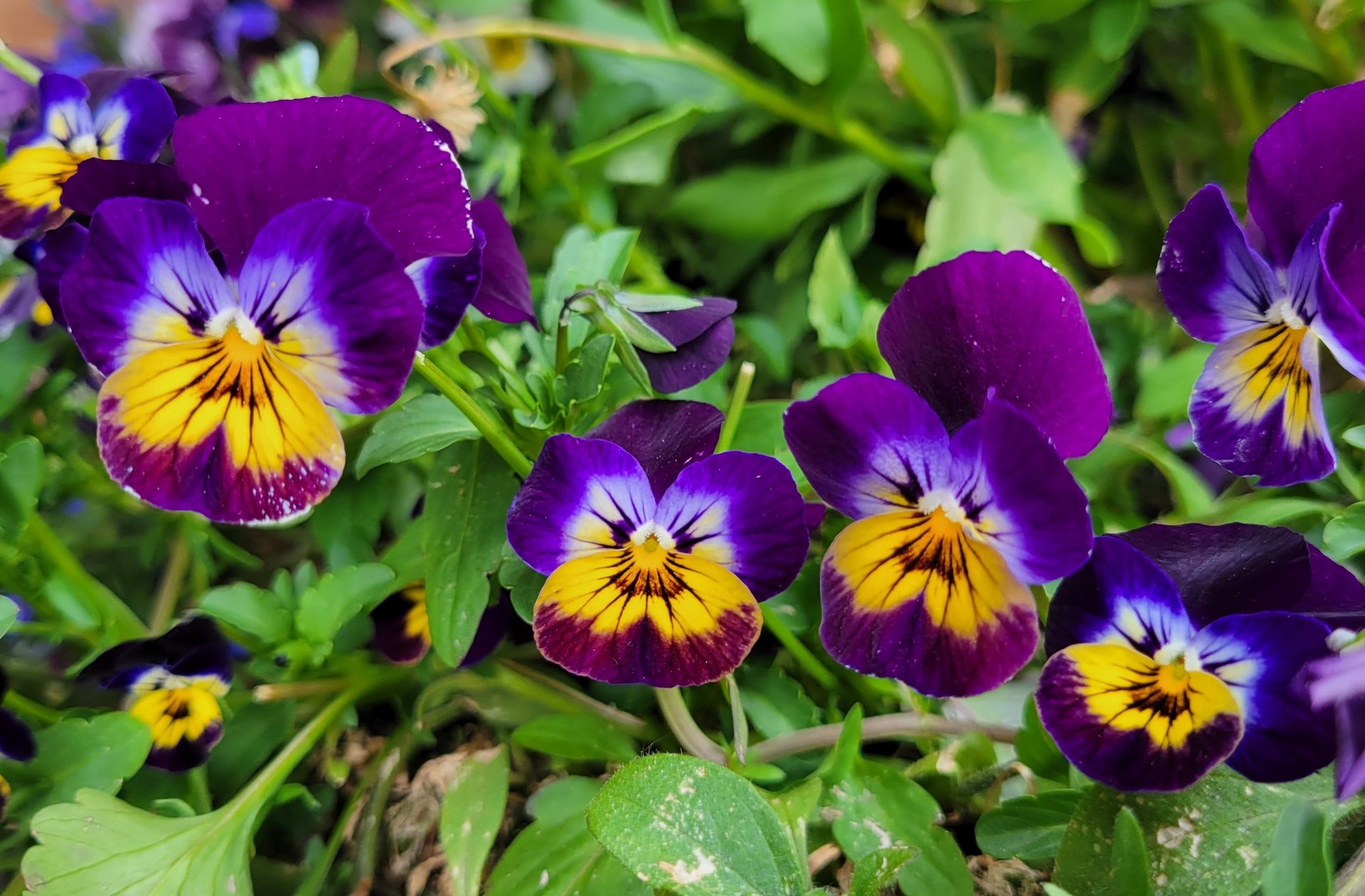 an abstract photo of a curved building with a blue sky in the background