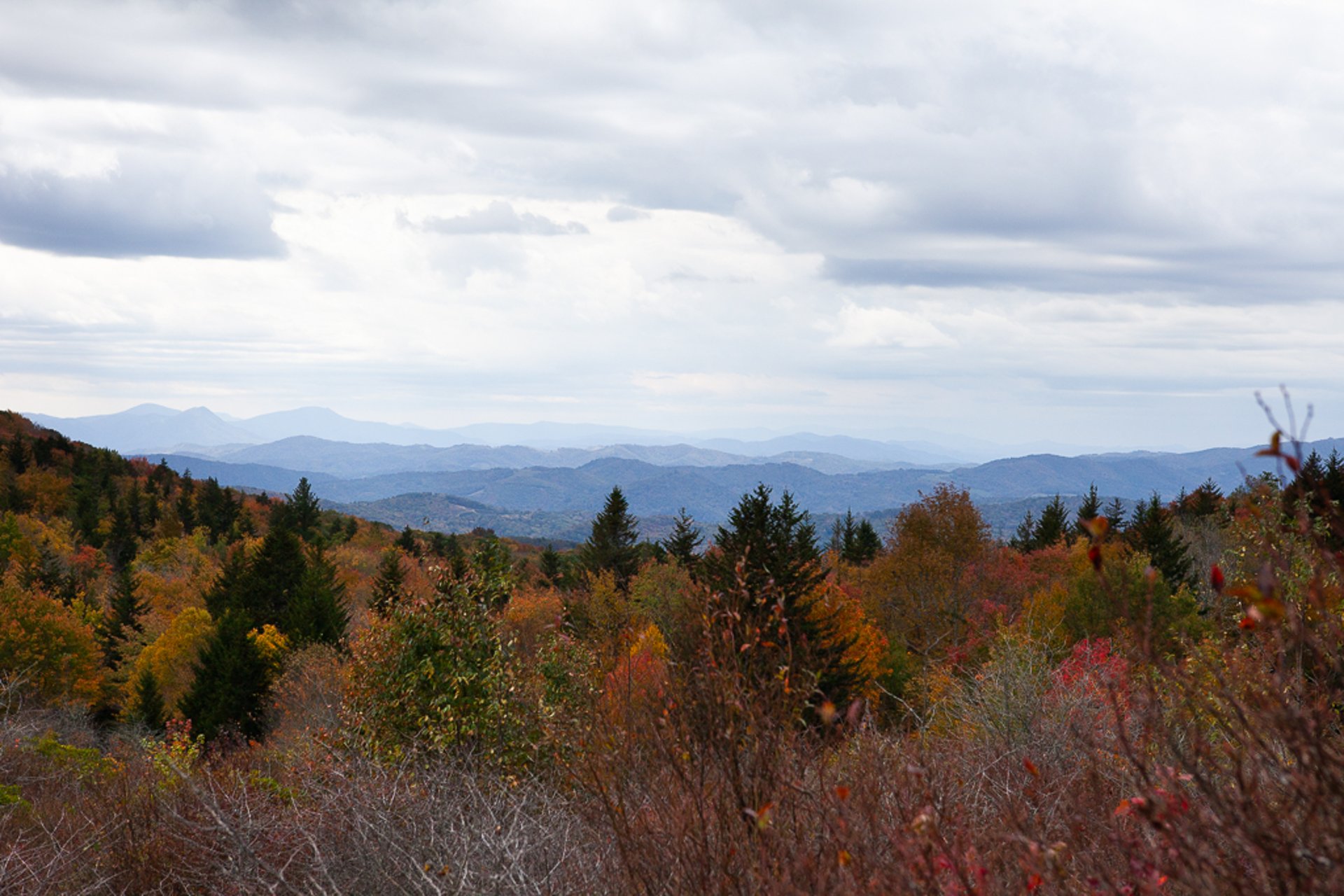 Be at peace with your insurance coverage