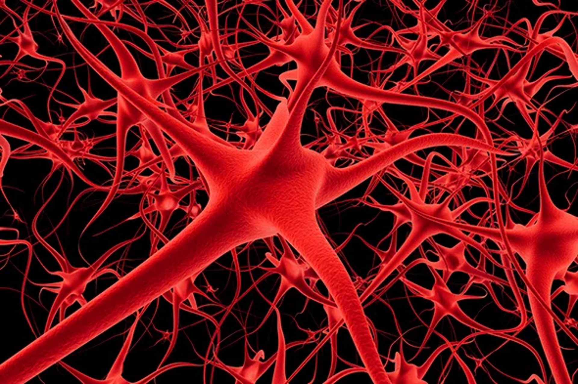 a close up of a tree branch against a blue sky