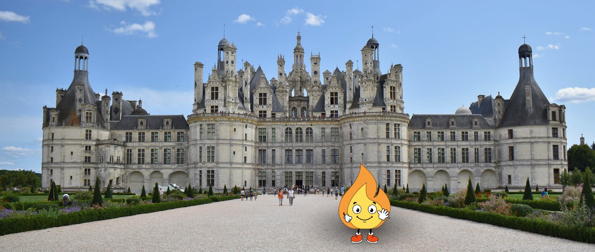 Forest during daytime