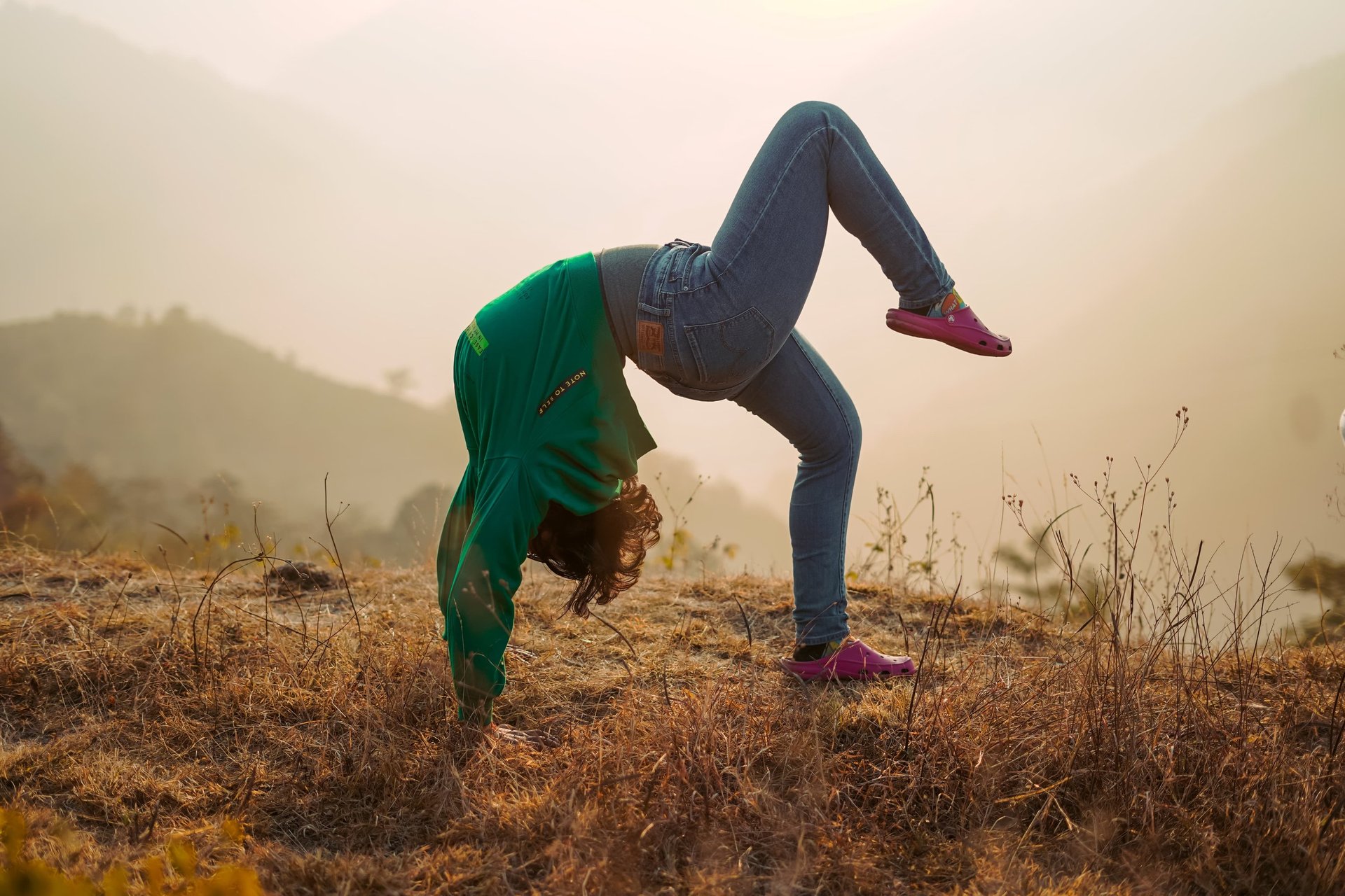 trees under cloudy sky during sunset