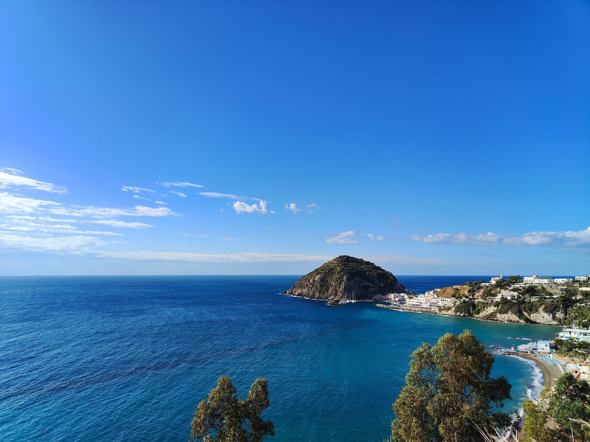 black and white bed linen