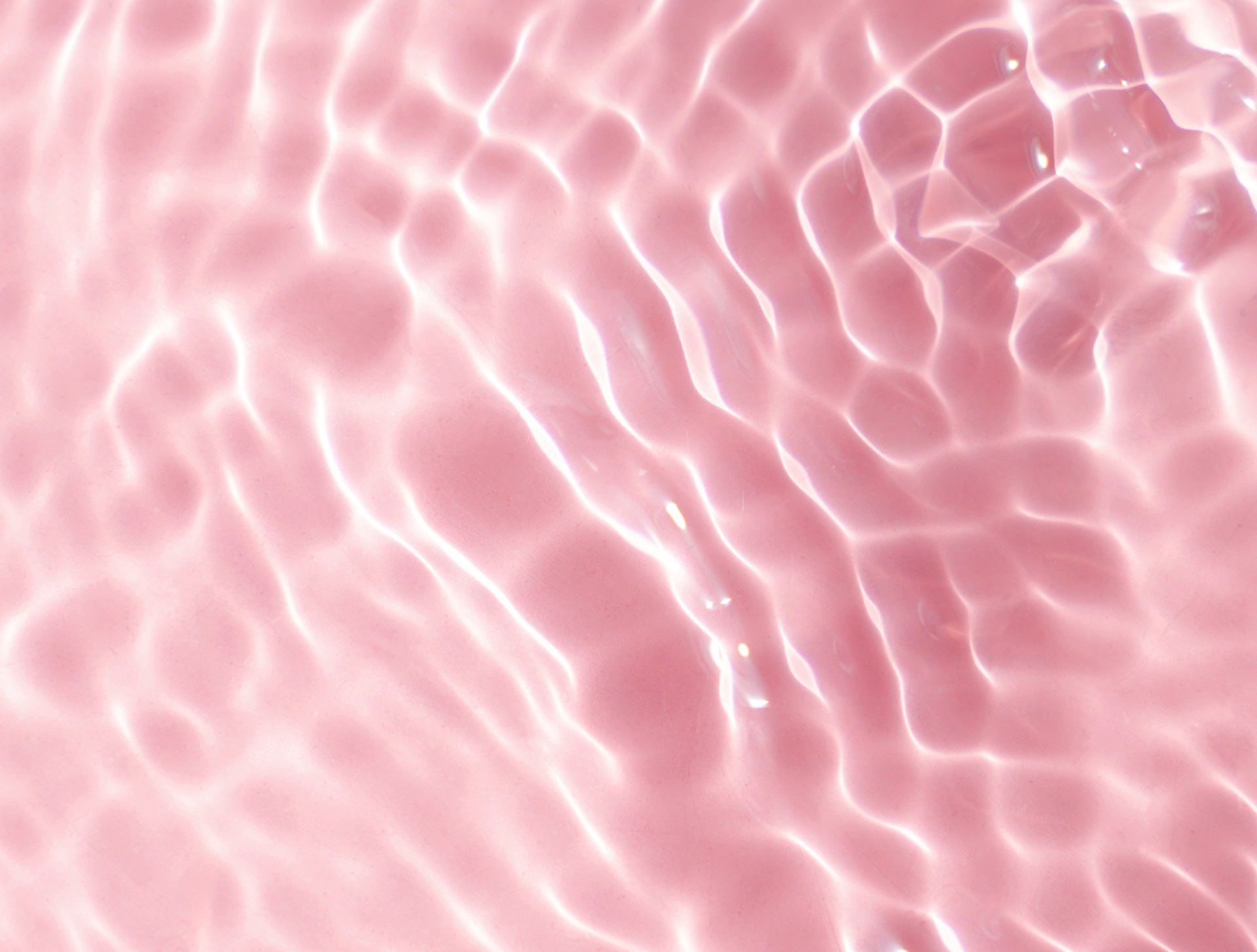 close-up photo of water drops