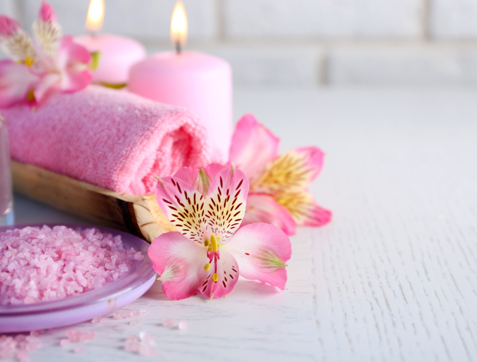 purple flowers in tilt shift lens