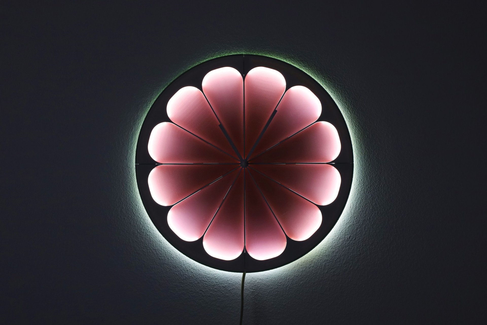 woman holding dried flower