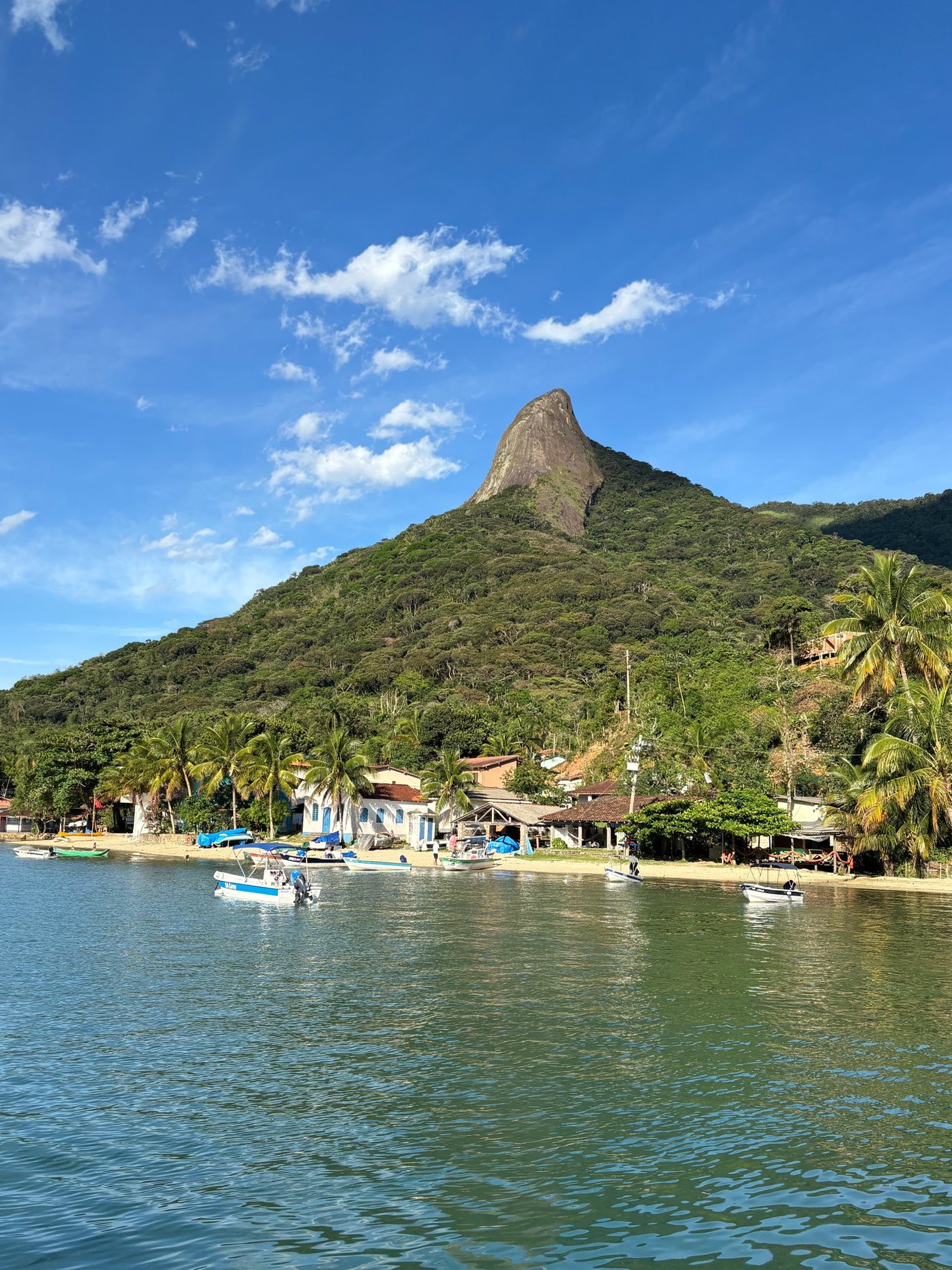 black and brown leather padded tub sofa
