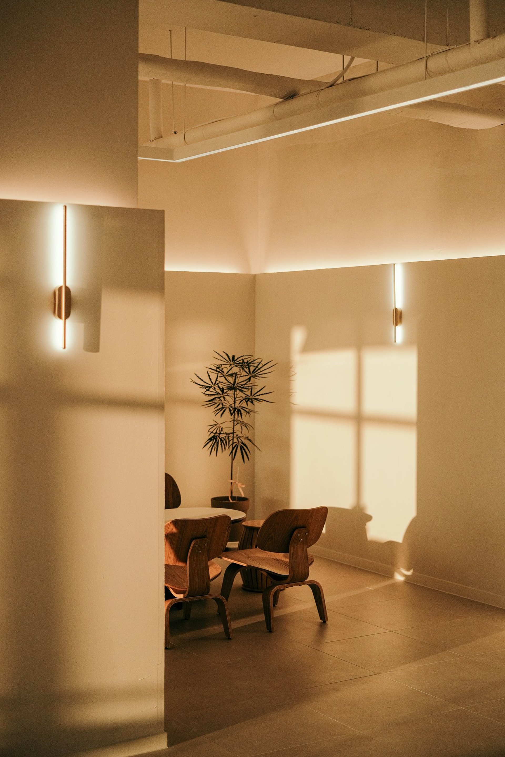 an abstract photo of a curved building with a blue sky in the background