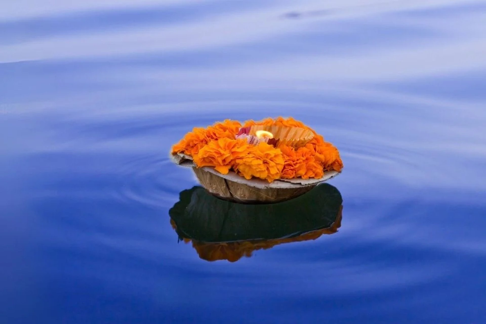 an abstract photo of a curved building with a blue sky in the background