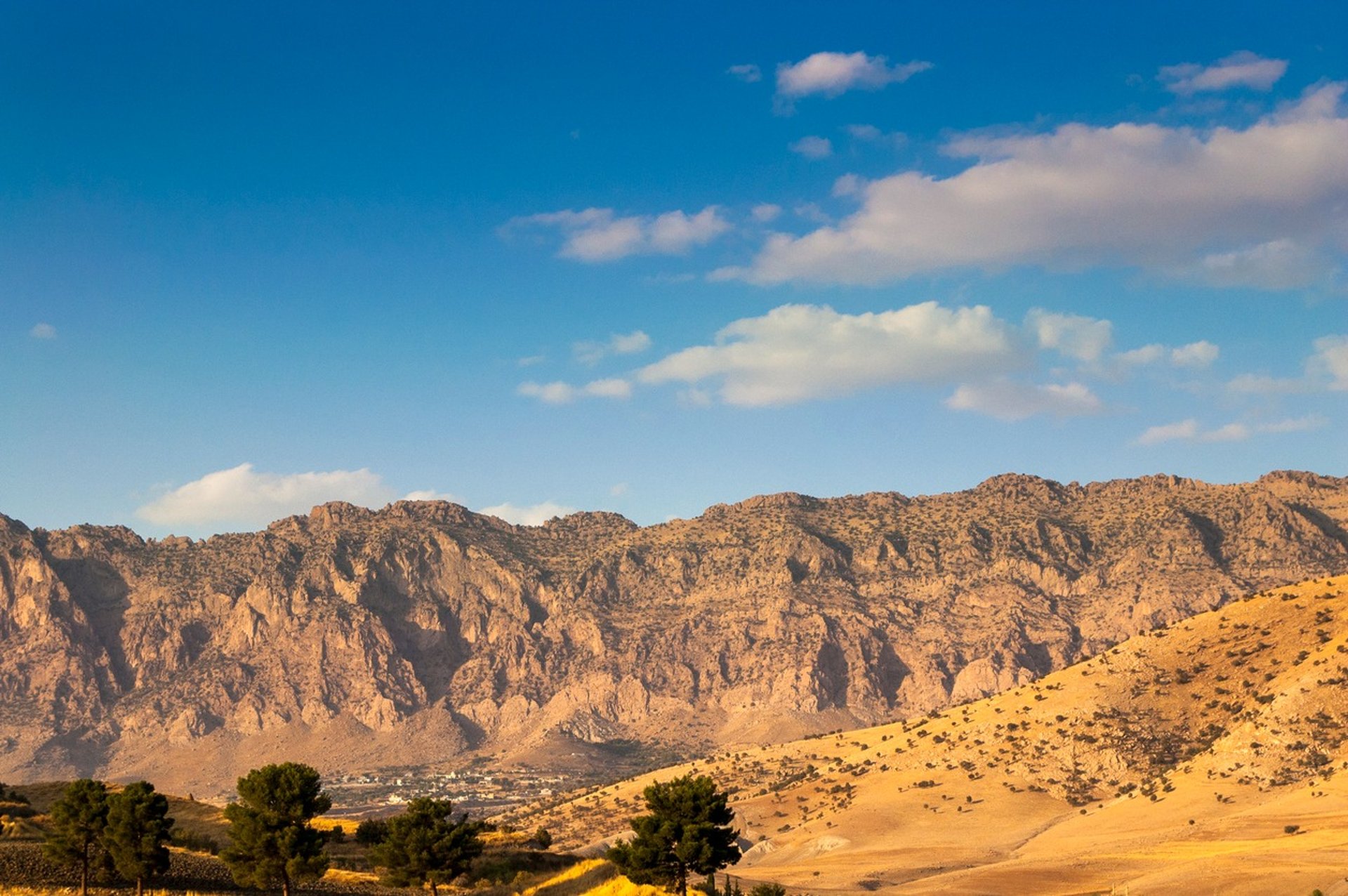 black and brown leather padded tub sofa