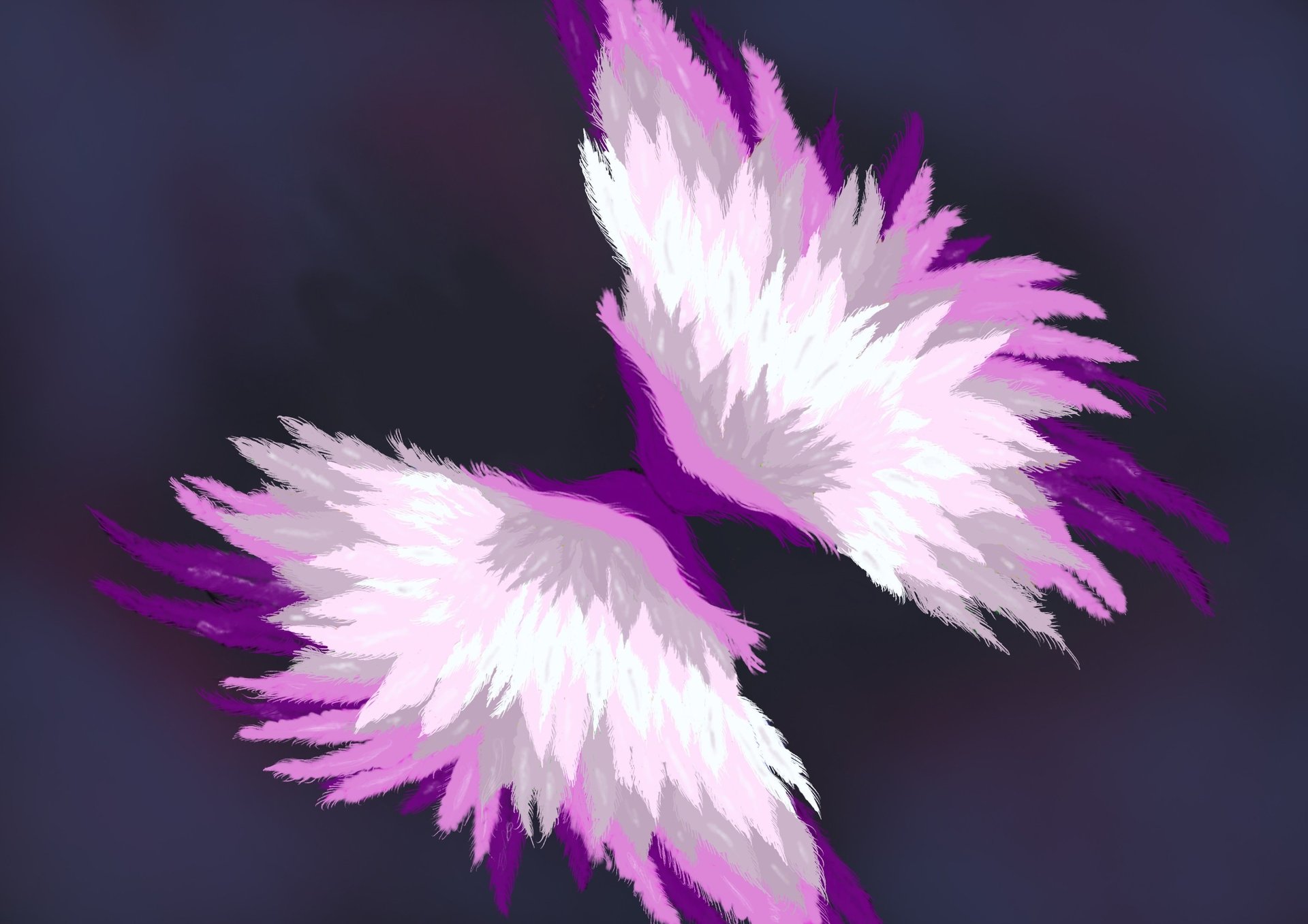 Angel wings original artwork