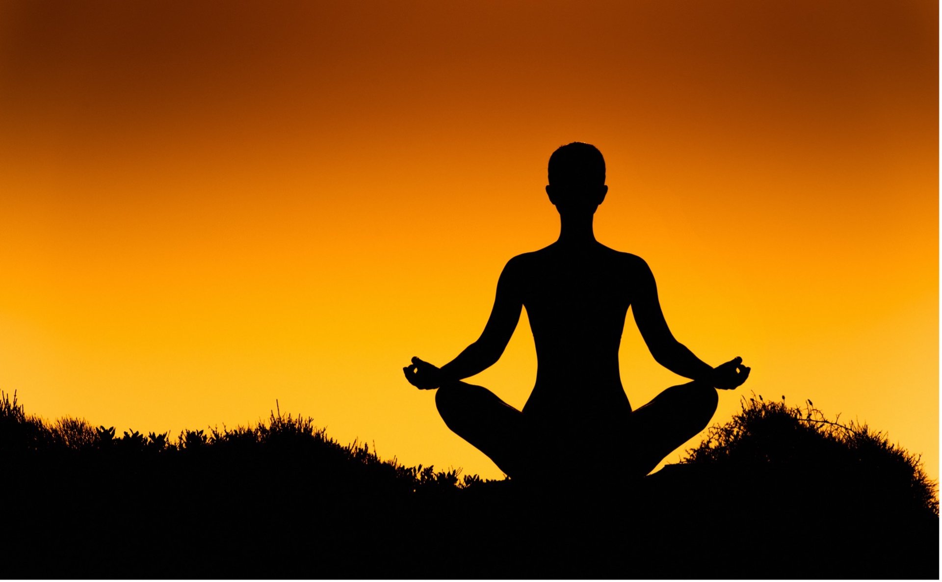 a close up of a black and brown abstract painting