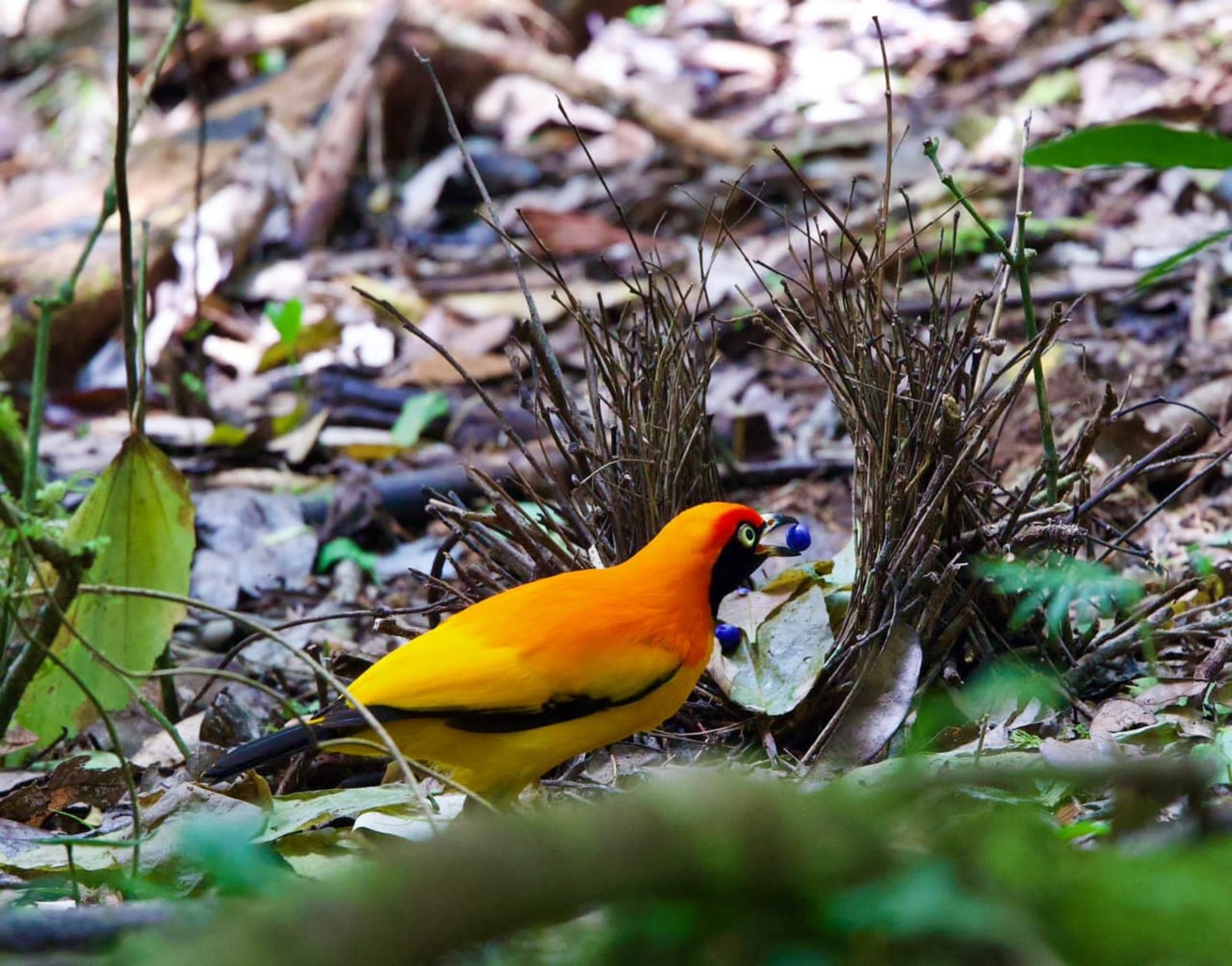 woman wearing yellow long-sleeved dress under white clouds and blue sky during daytime