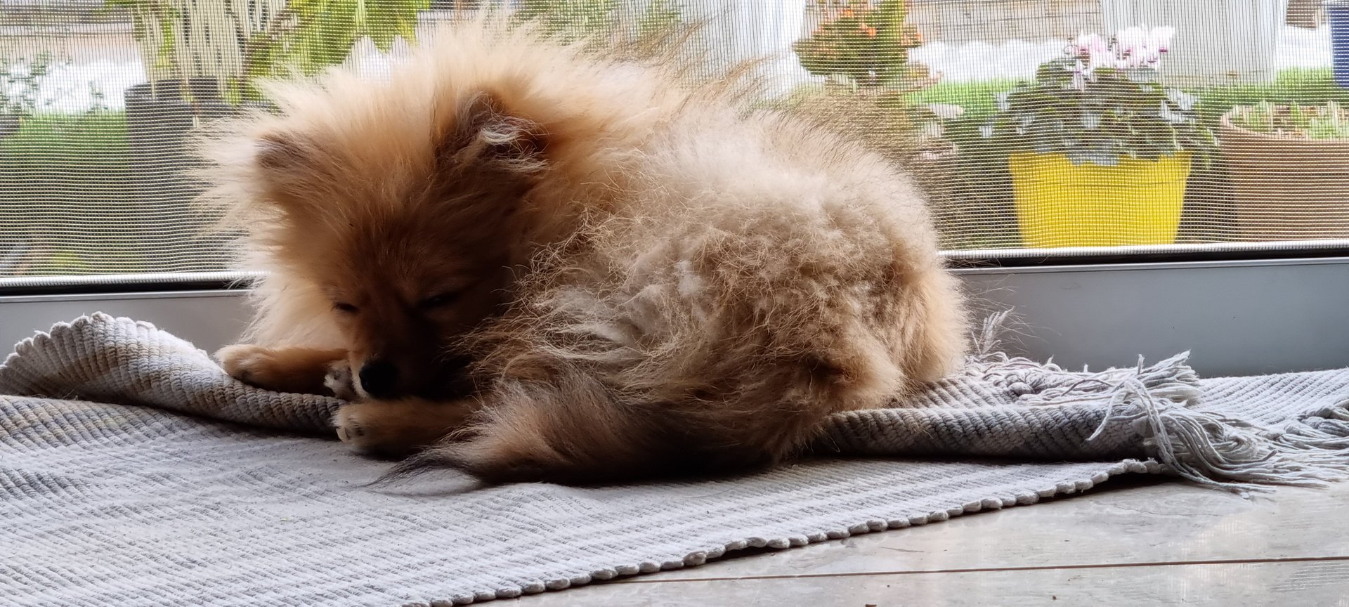 person wearing grey knit sweater