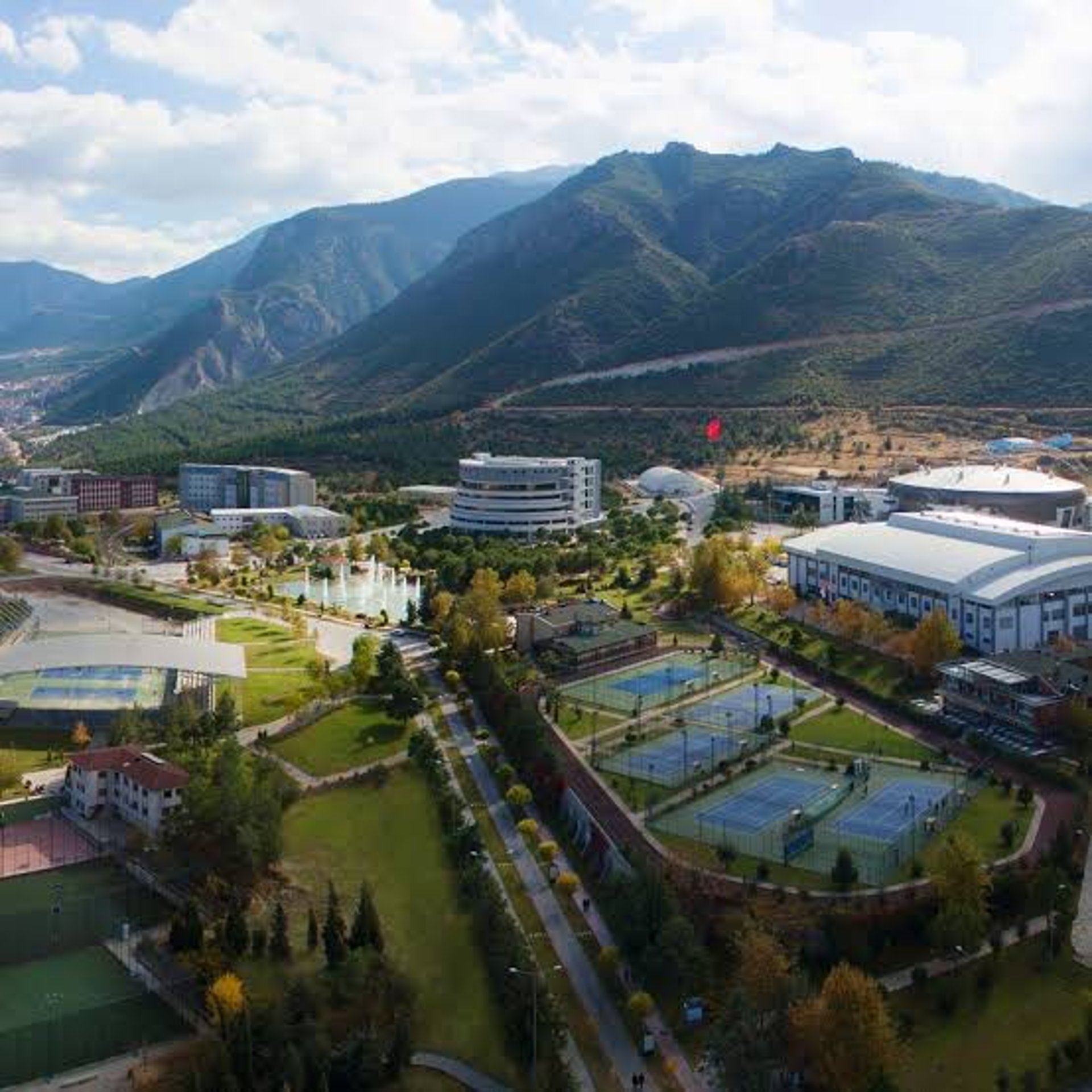 A large group of taxi cabs are lined up on the street