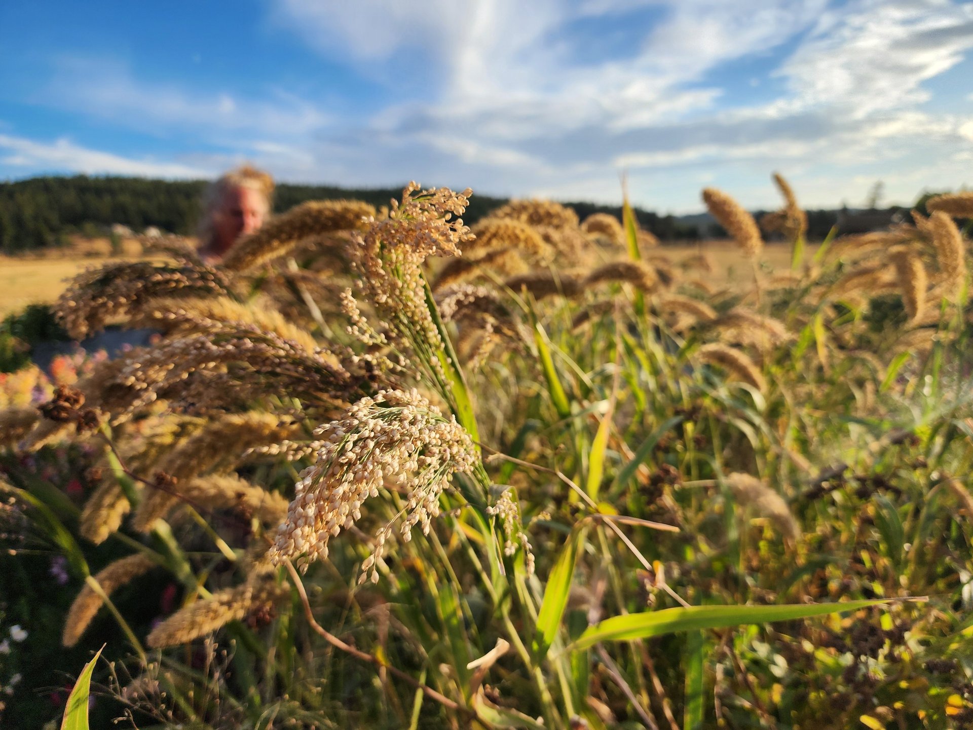 black blue and yellow textile