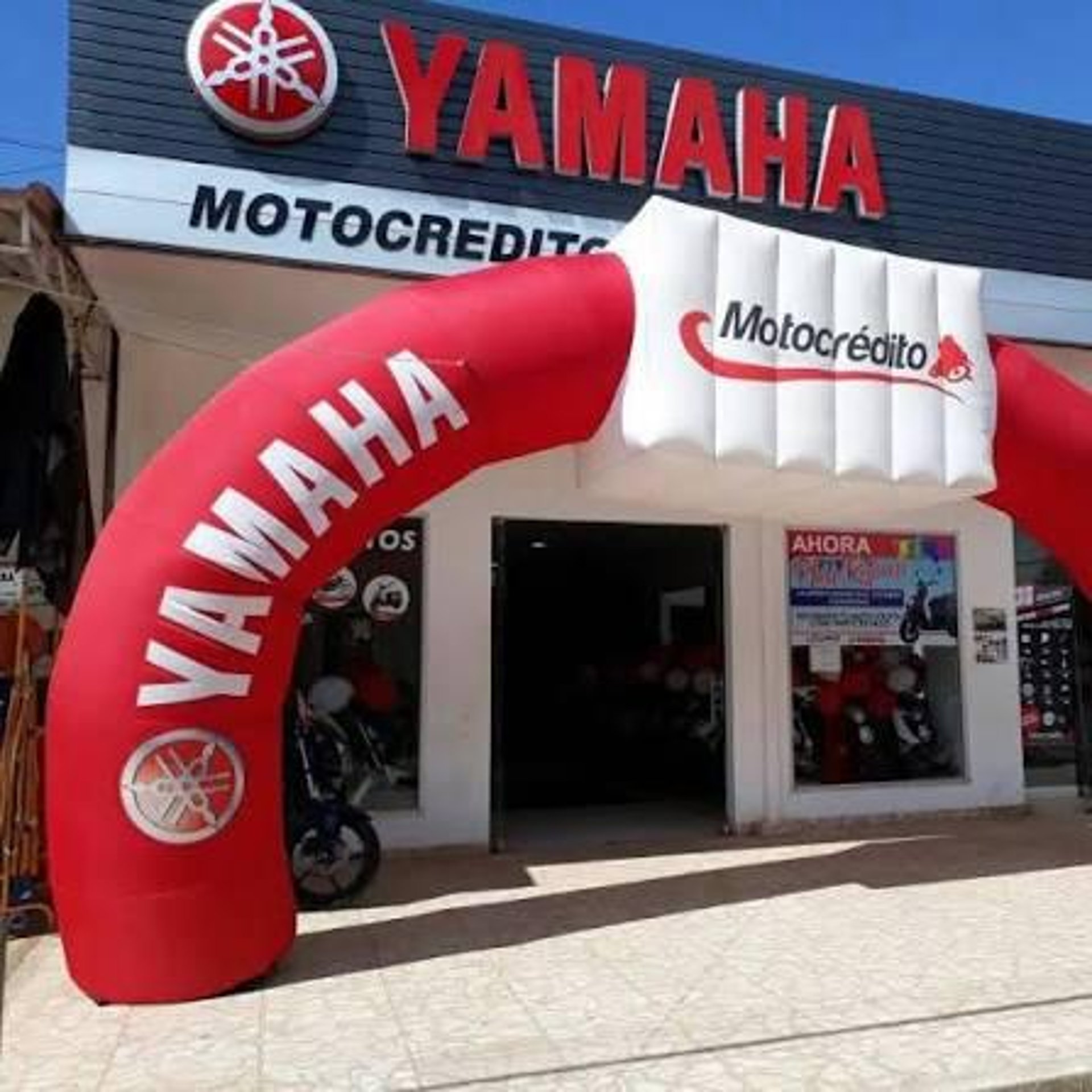 woman holding dried flower