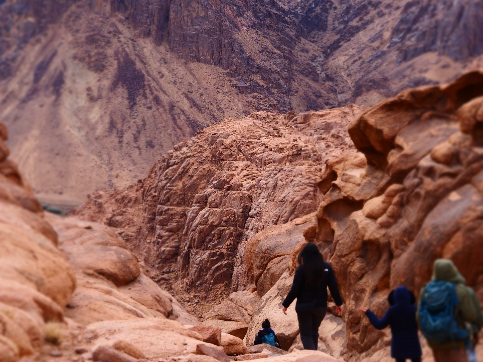 a close up of a black and brown abstract painting
