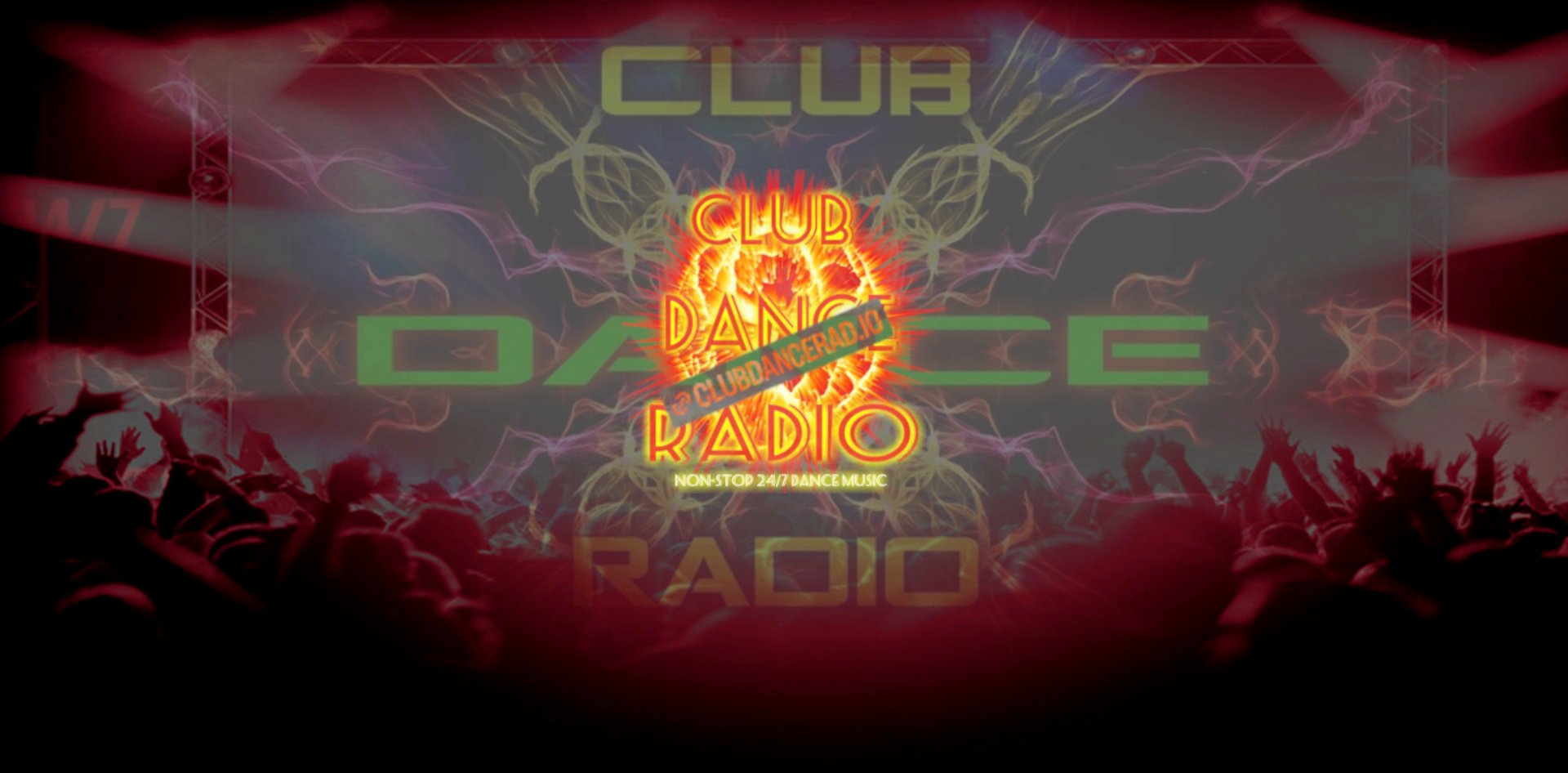 a large crowd of people at a concert