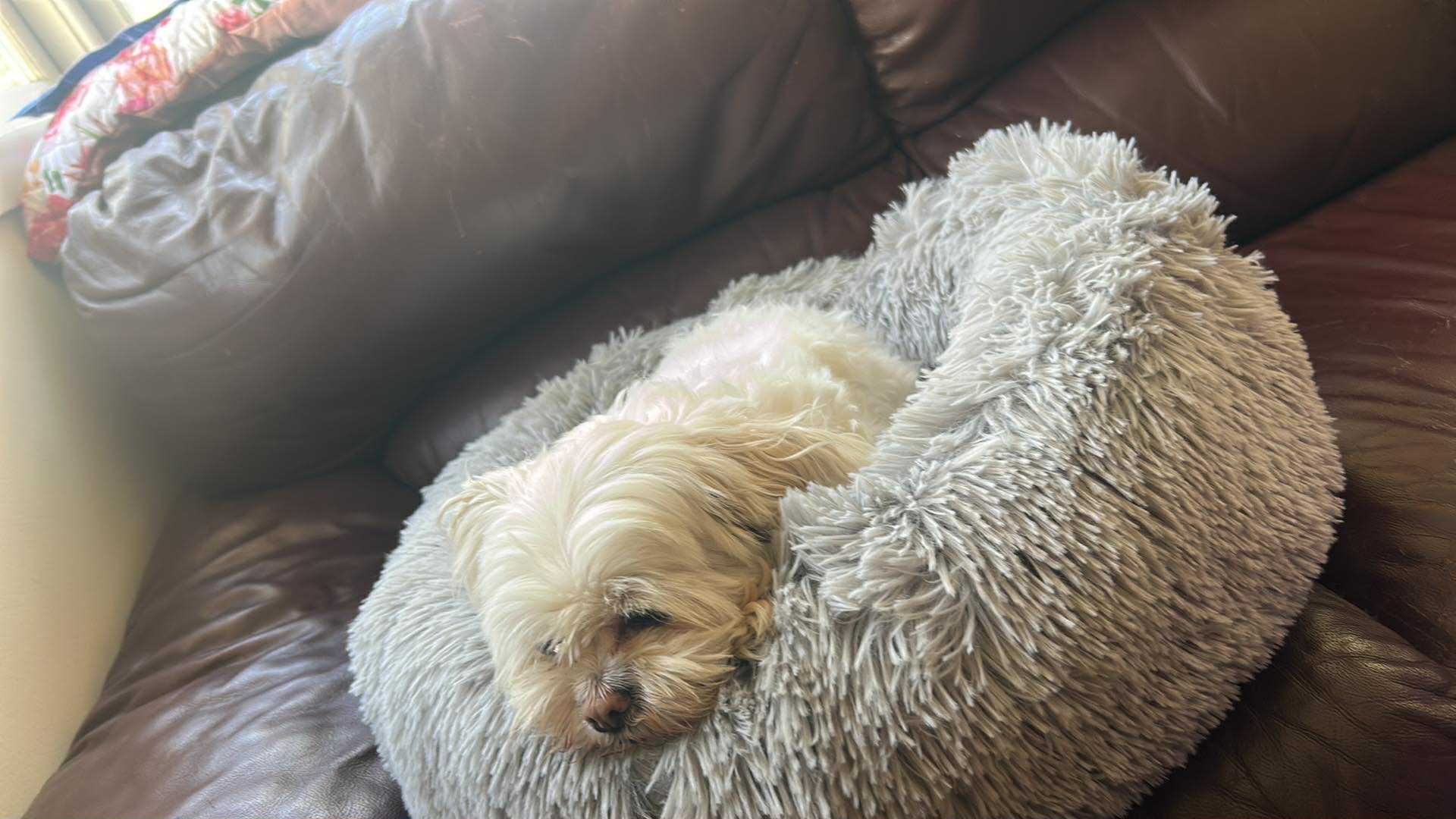 an abstract photo of a curved building with a blue sky in the background